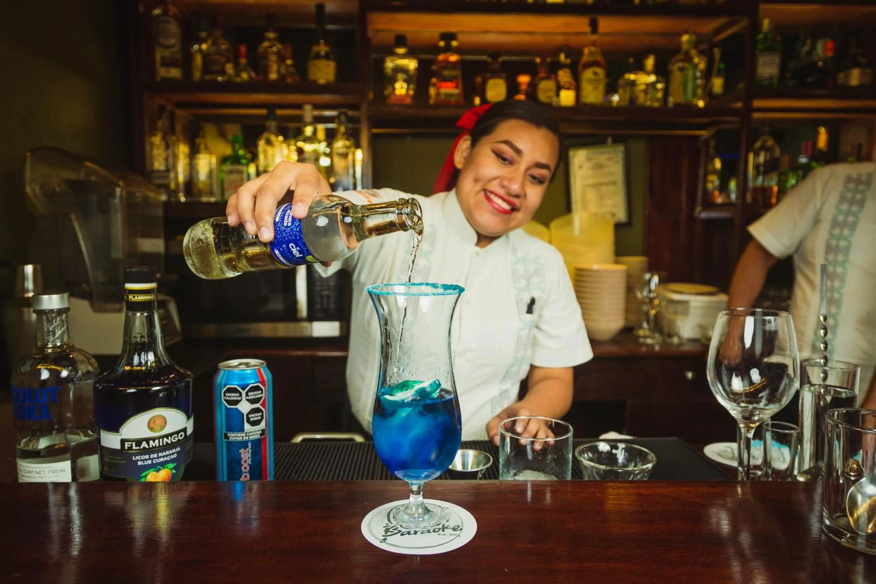 Karaoke in Maya Tulipanes Express