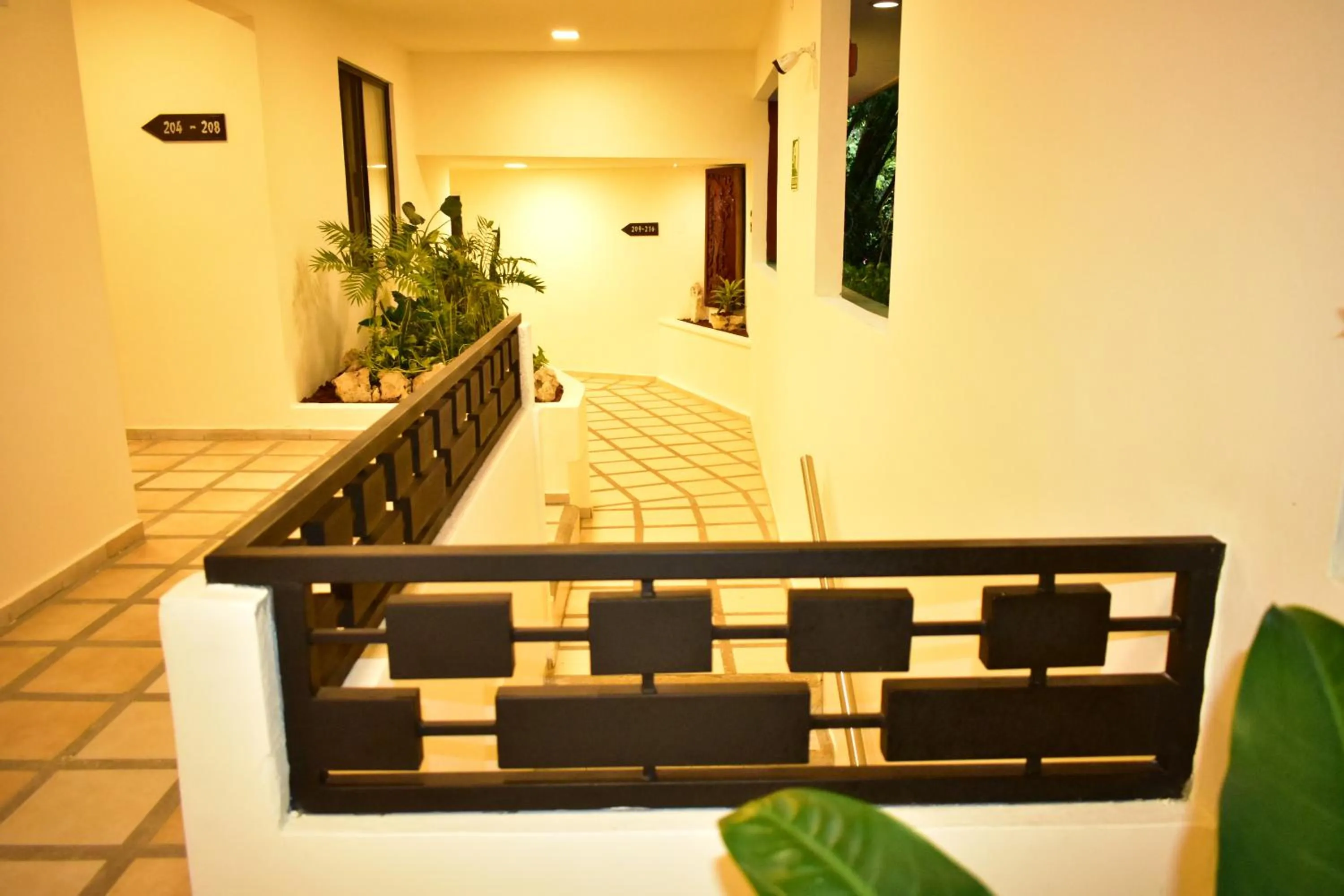 Street view in Maya Tulipanes Express