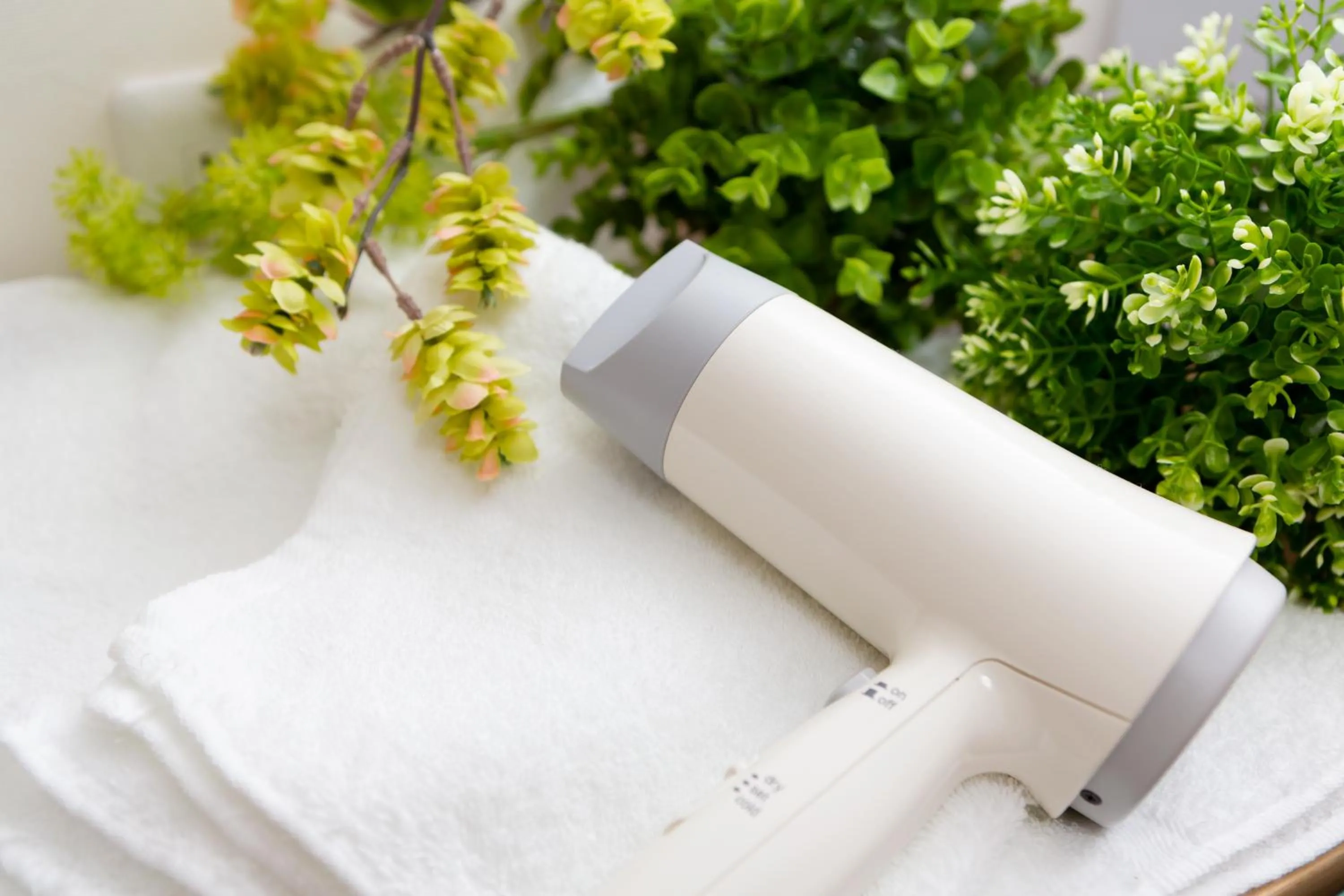 Other in ABC Guest House 2F