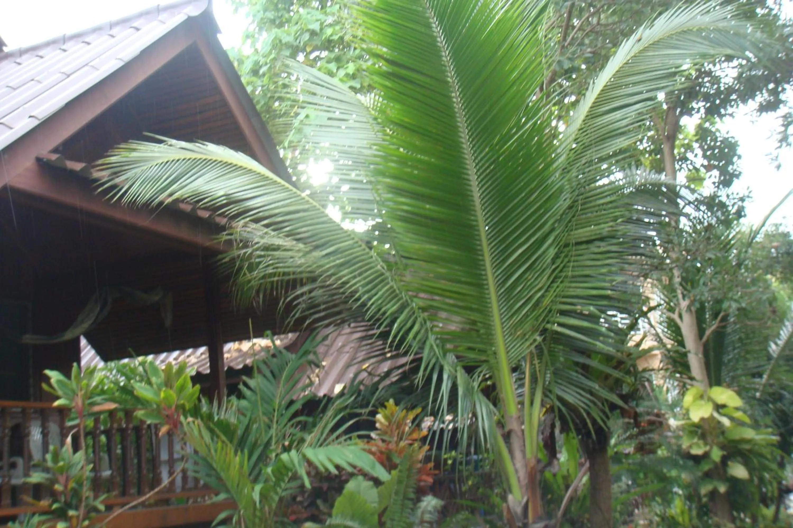 Silver Sands Resort - Koh Tao