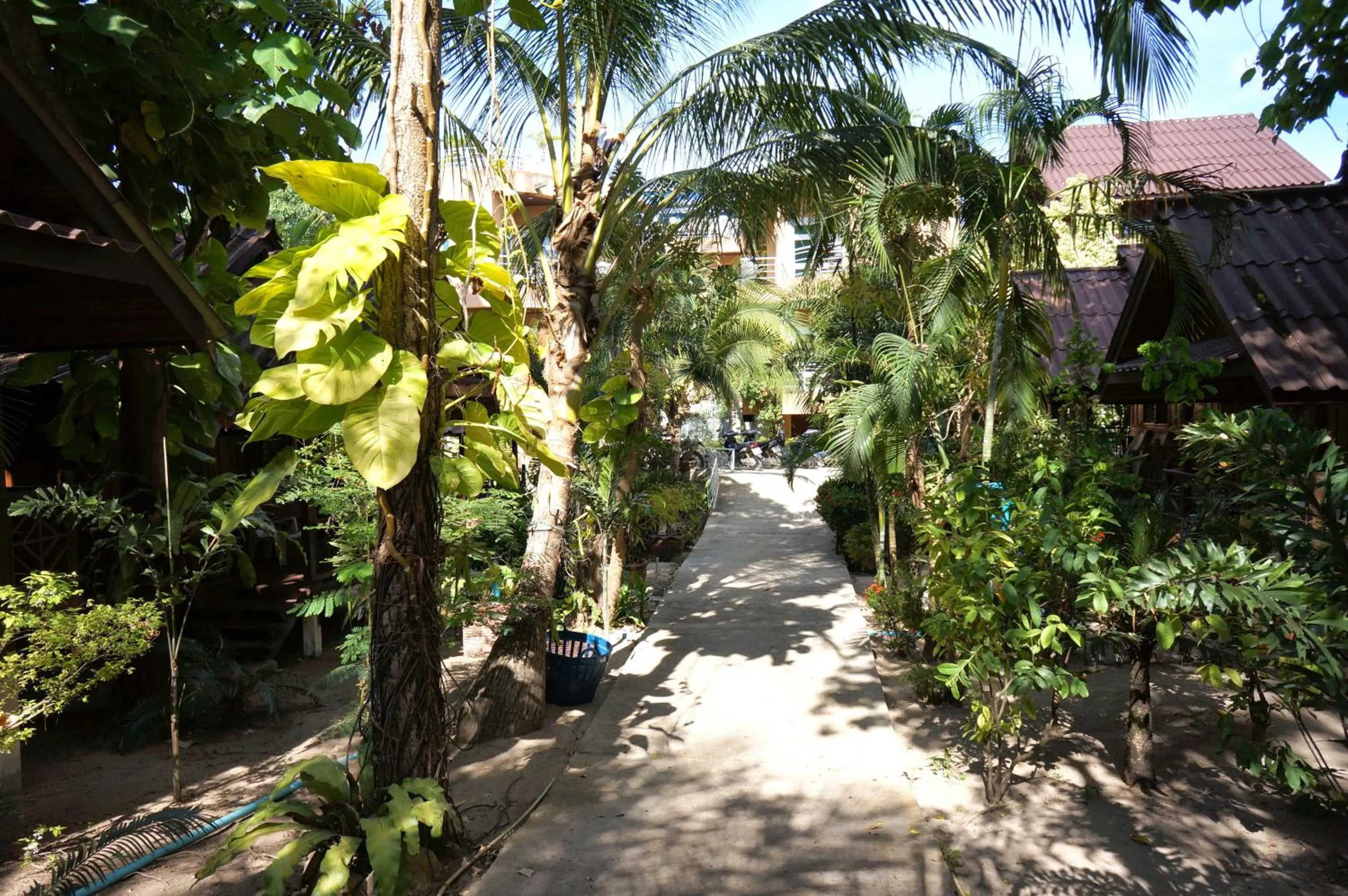 Silver Sands Resort - Koh Tao