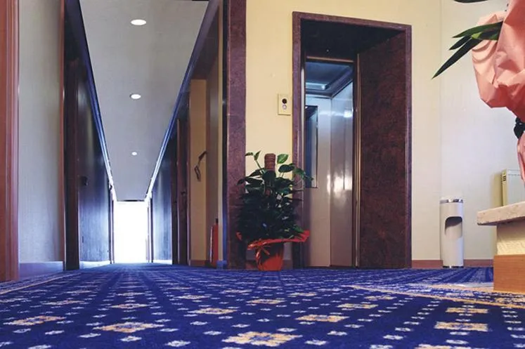 Area and facilities in Hotel Villa Ida