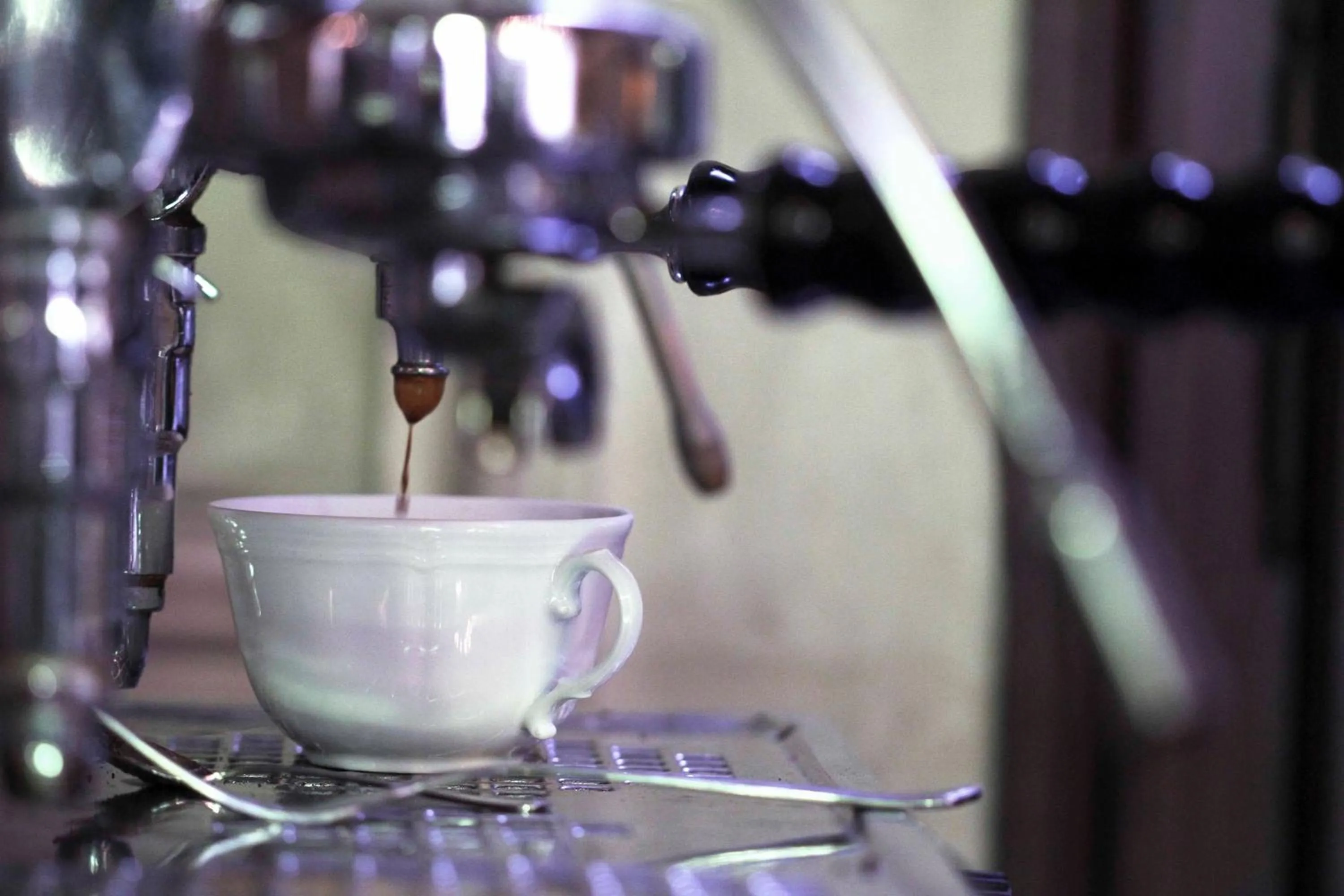 Restaurant/places to eat in Palazzetto Pisani Grand Canal