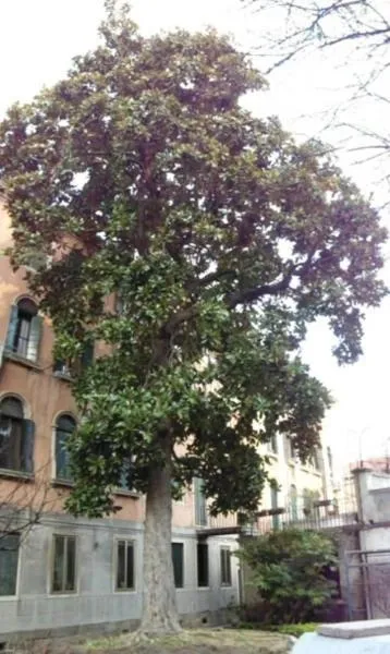 Garden in B&B Exclusive