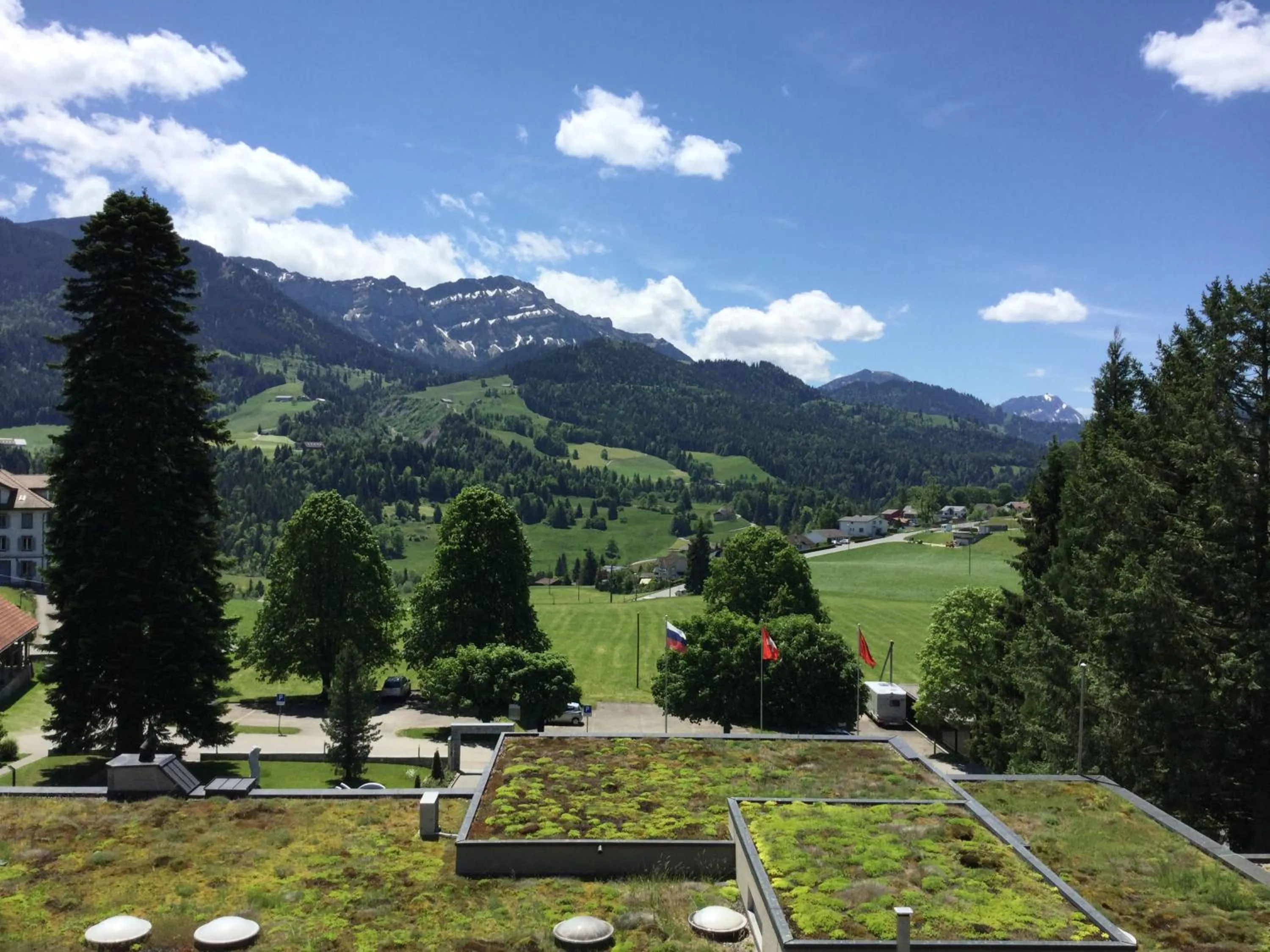 Natural landscape in Hotel Matt