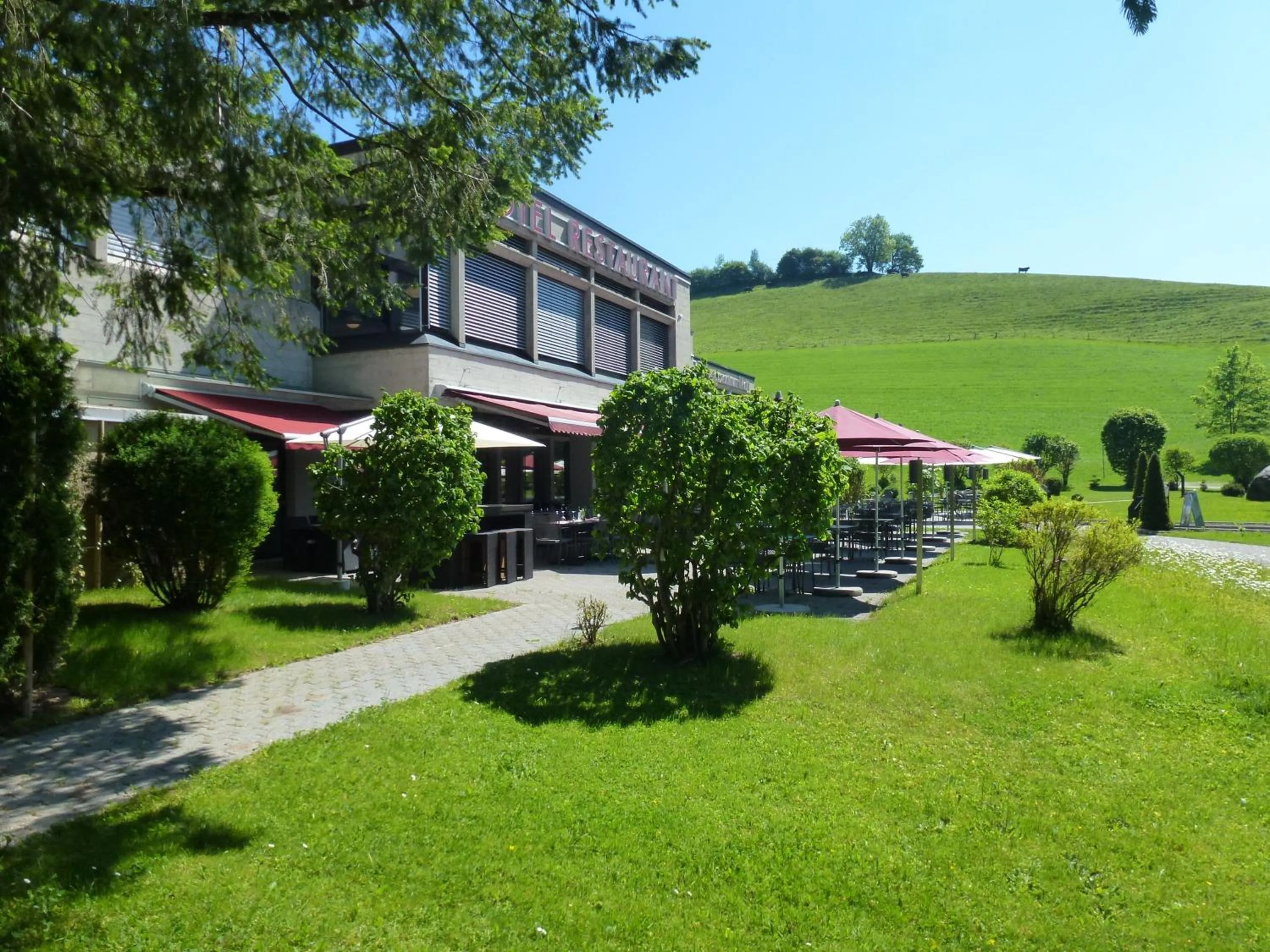 Garden view in Hotel Matt