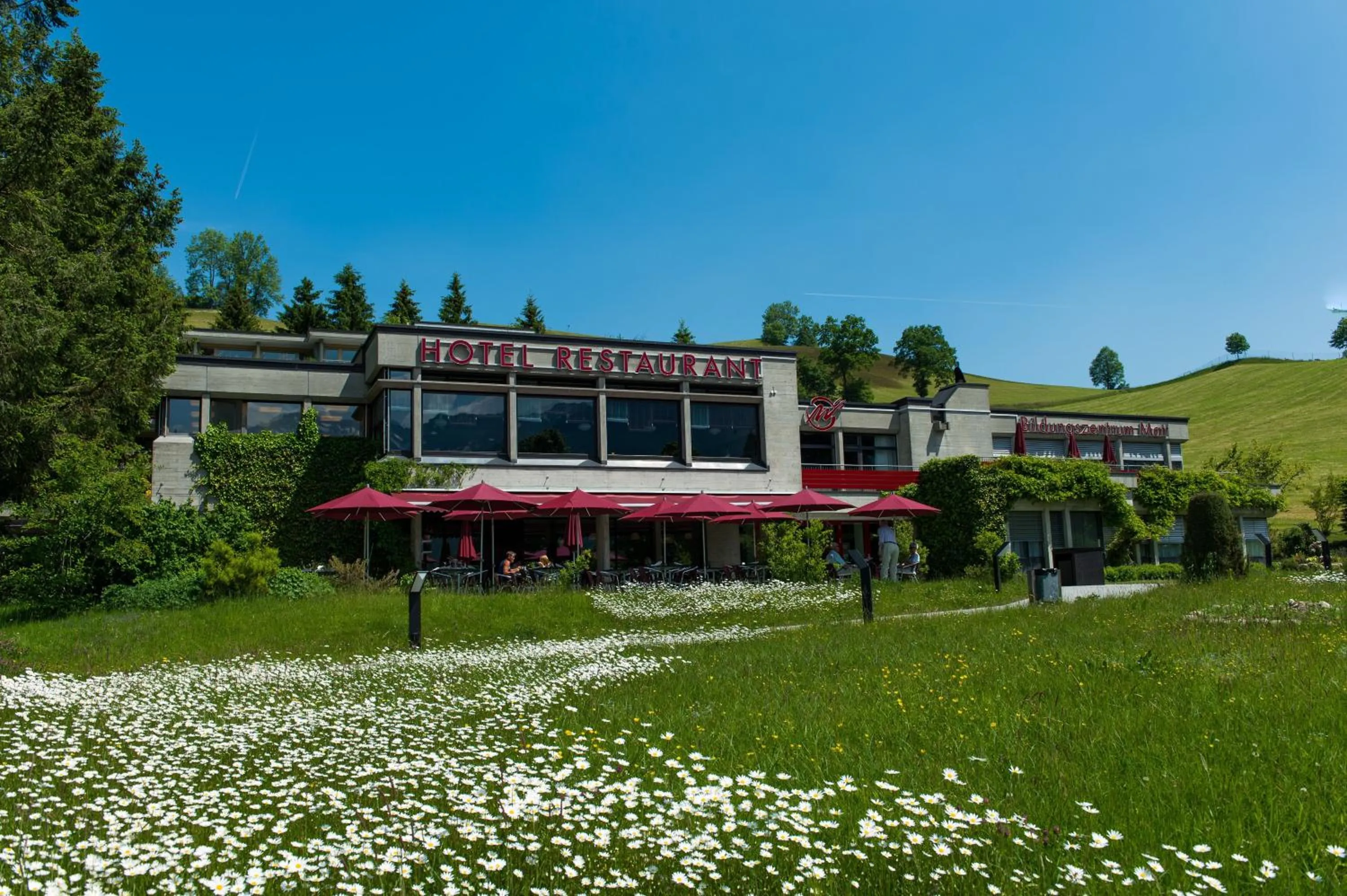 Natural landscape in Hotel Matt