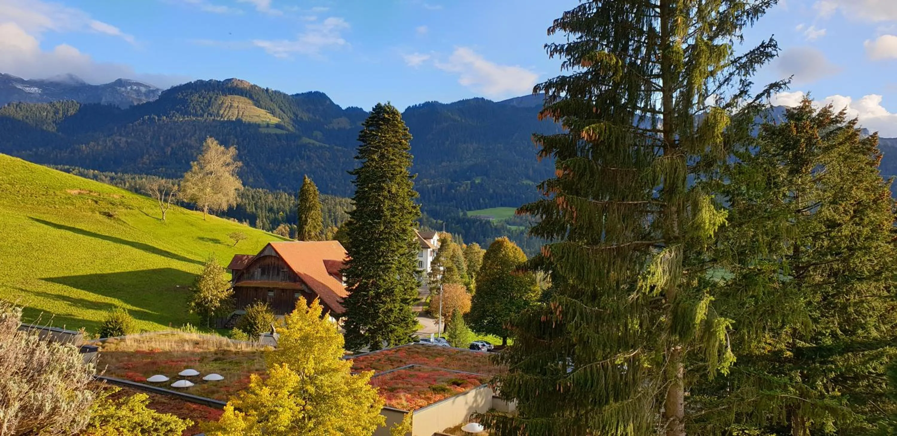 Natural landscape in Hotel Matt