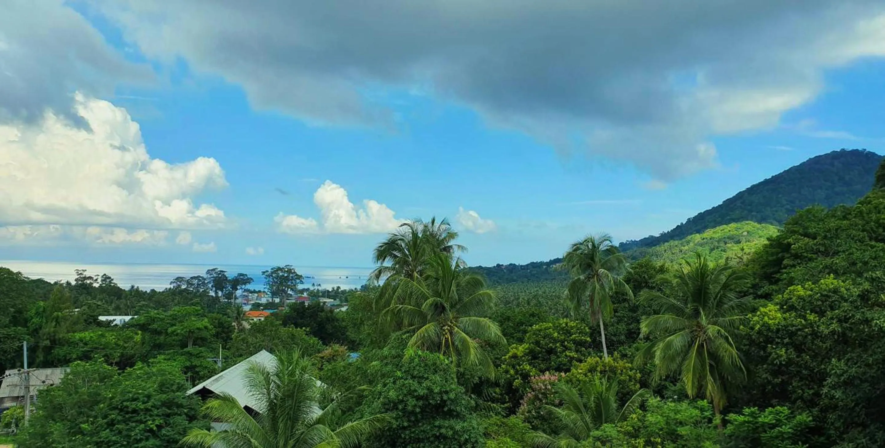 Bird's eye view in Life koh tao resort