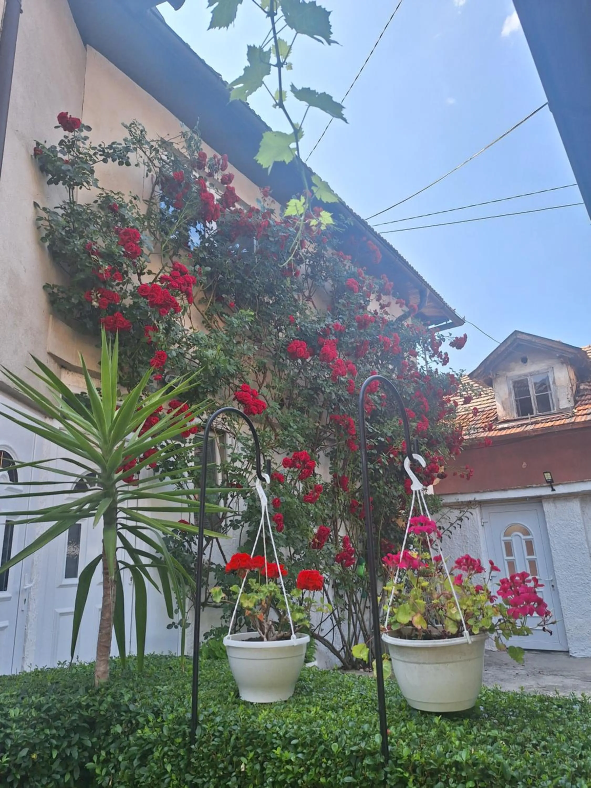 Modern&Cozy Bosnian house with GARDEN+FREE parking