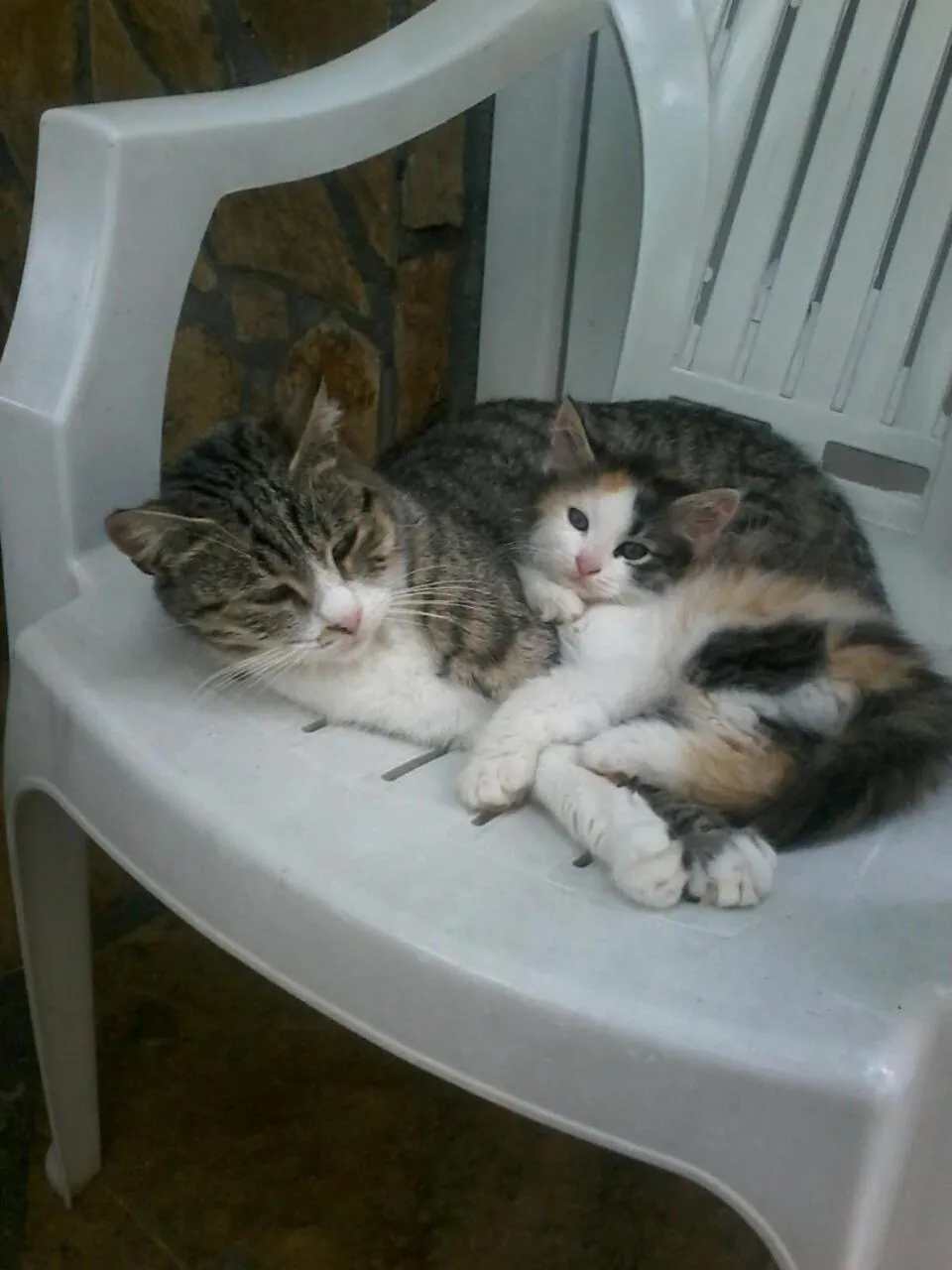 Pets in Modern&Cozy Bosnian house with GARDEN+FREE parking