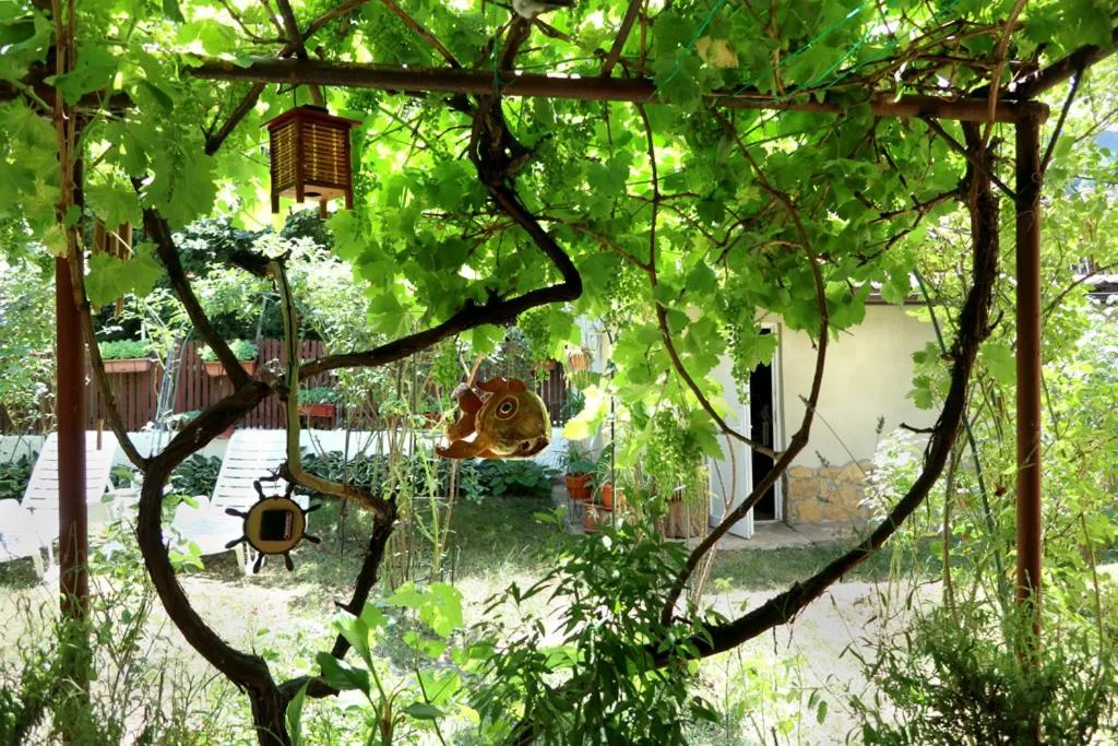 Garden in Modern&Cozy Bosnian house with GARDEN+FREE parking