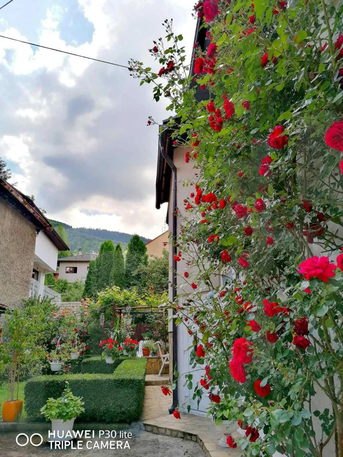 Garden in Modern&Cozy Bosnian house with GARDEN+FREE parking