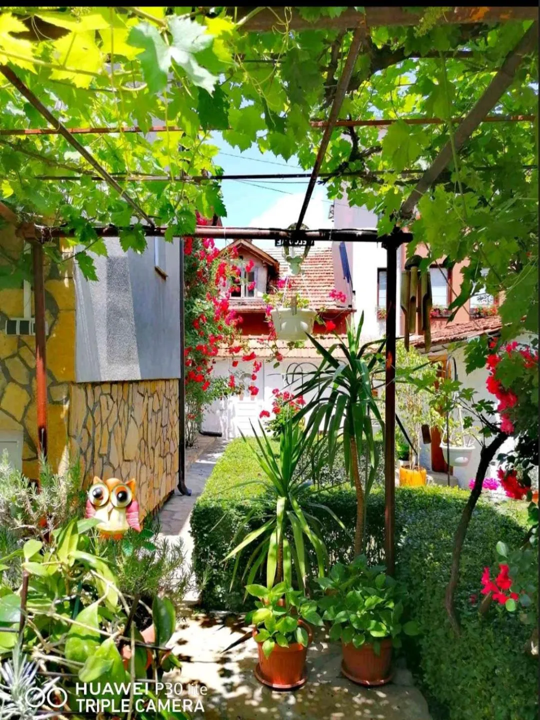 Modern&Cozy Bosnian house with GARDEN+FREE parking