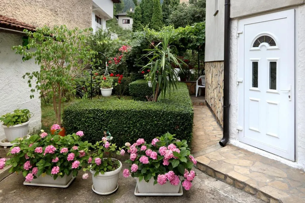 Garden in Modern&Cozy Bosnian house with GARDEN+FREE parking