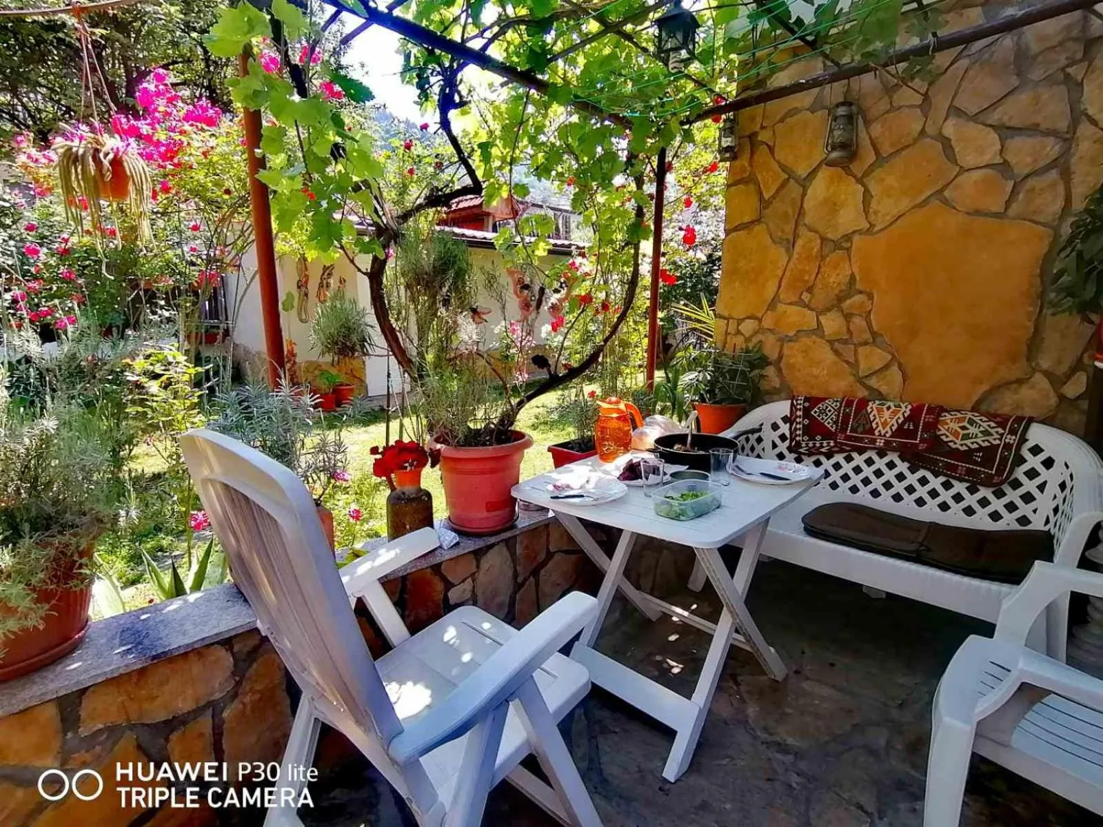 Garden in Modern&Cozy Bosnian house with GARDEN+FREE parking