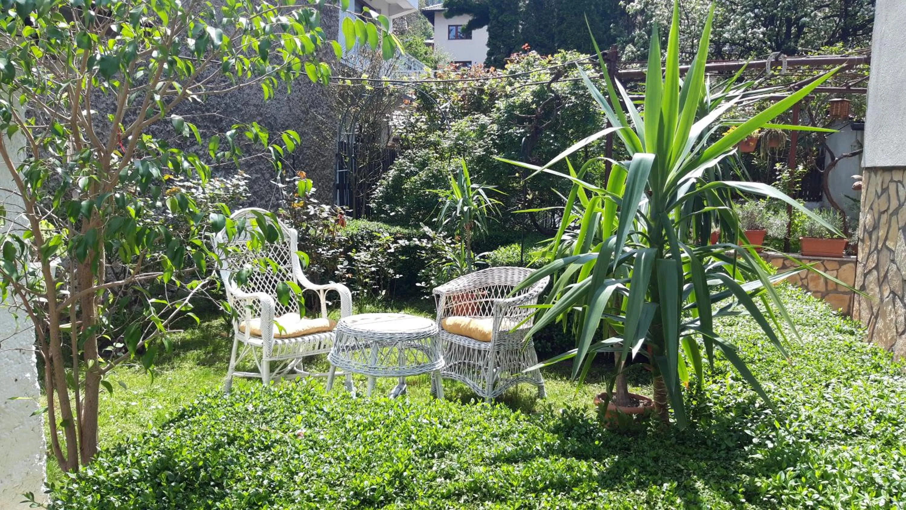 Garden view in Modern&Cozy Bosnian house with GARDEN+FREE parking