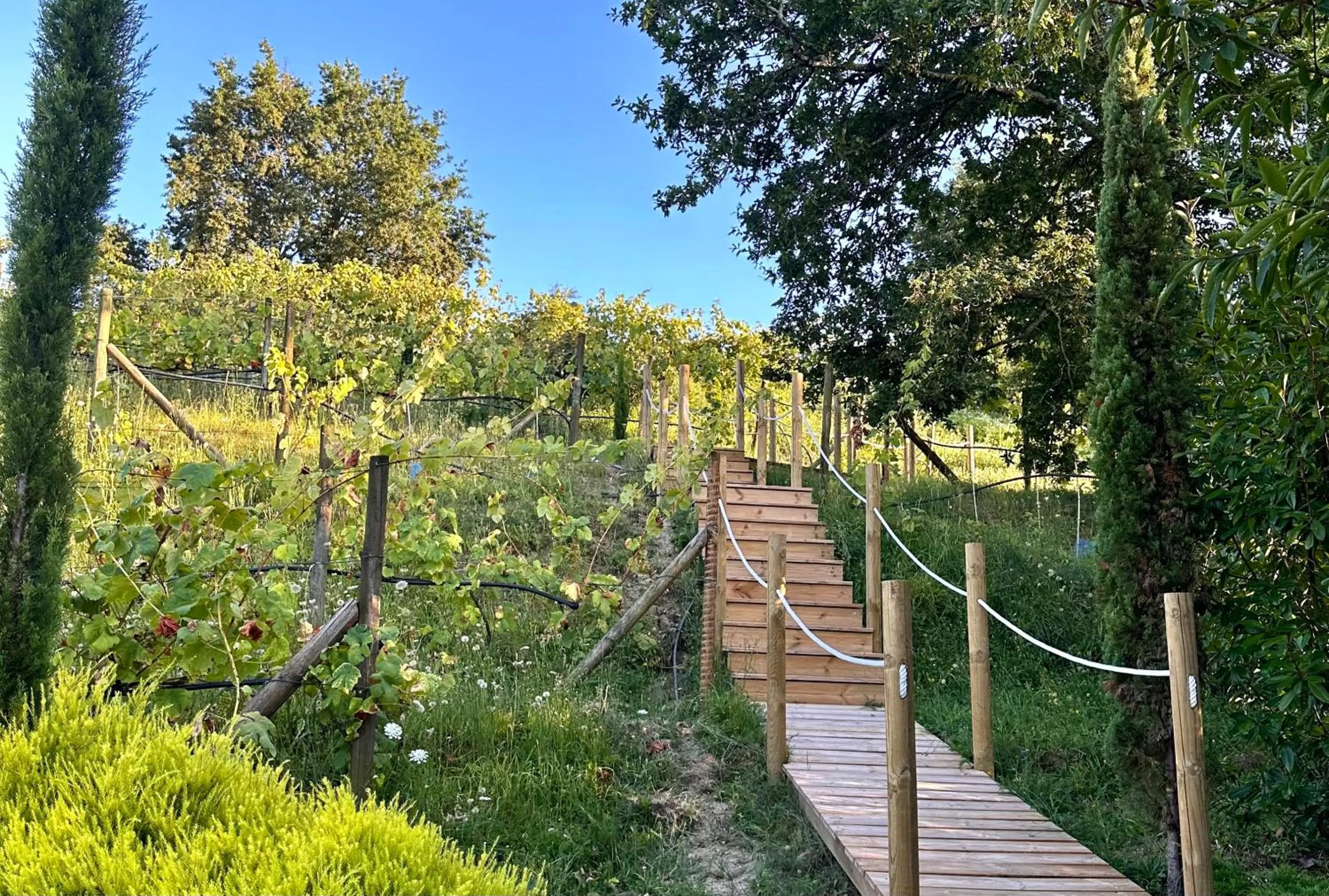 Garden view in Carmo's Boutique Hotel - Small Luxury Hotels of the World
