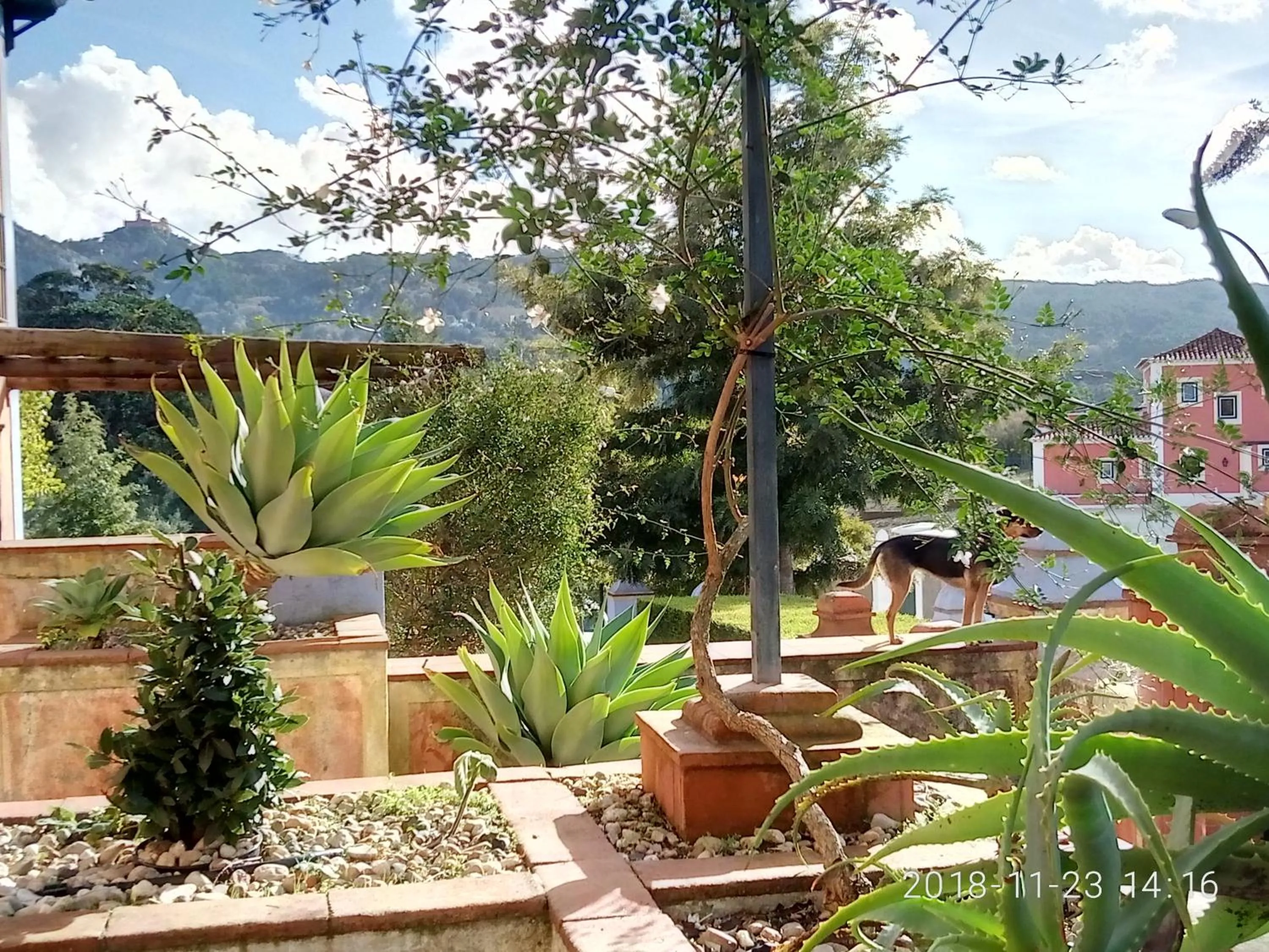Garden view in Casa de Santo Amaro