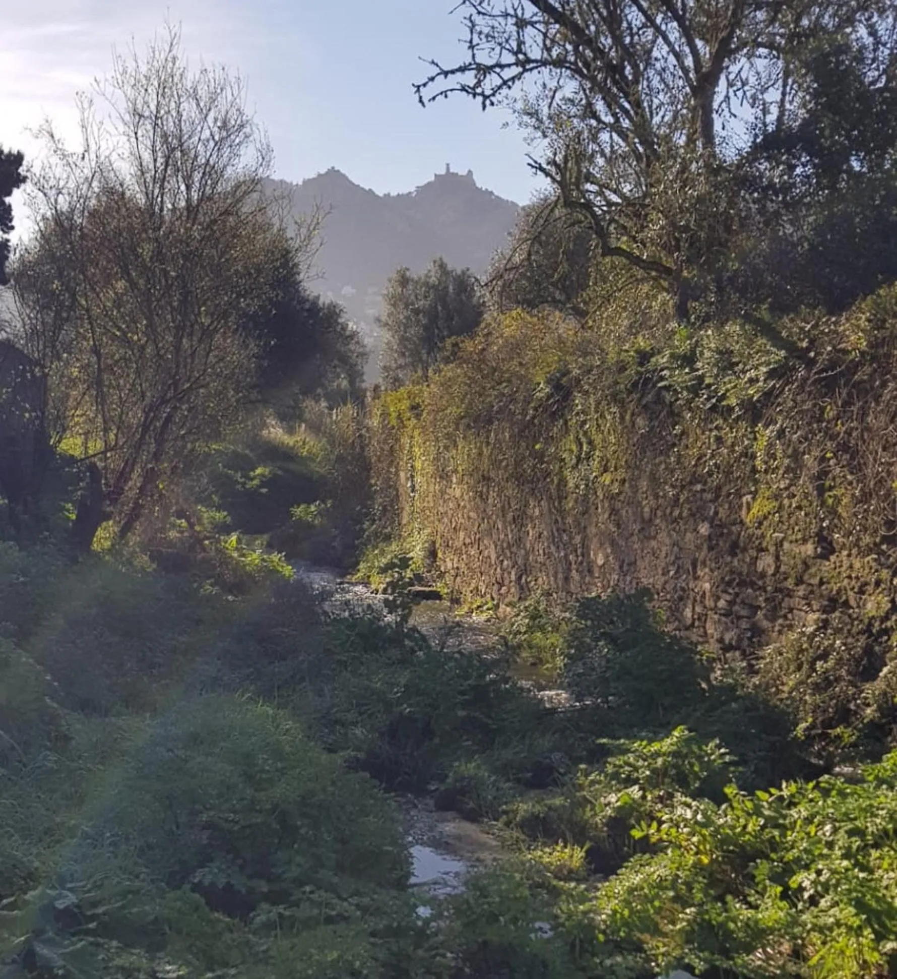 View (from property/room) in Casa de Santo Amaro