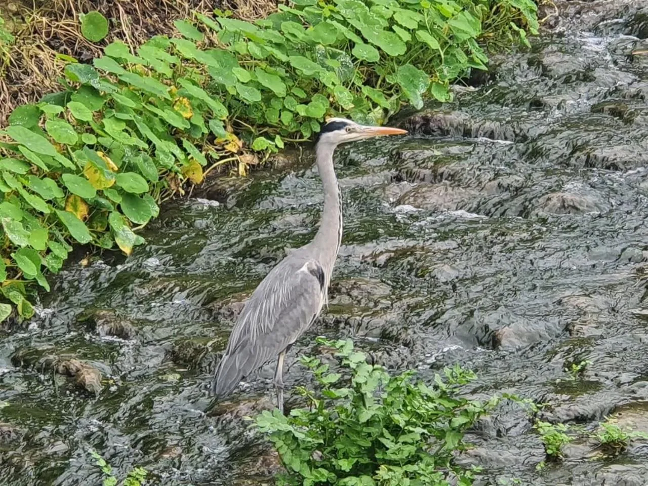 Area and facilities in Casa de Santo Amaro