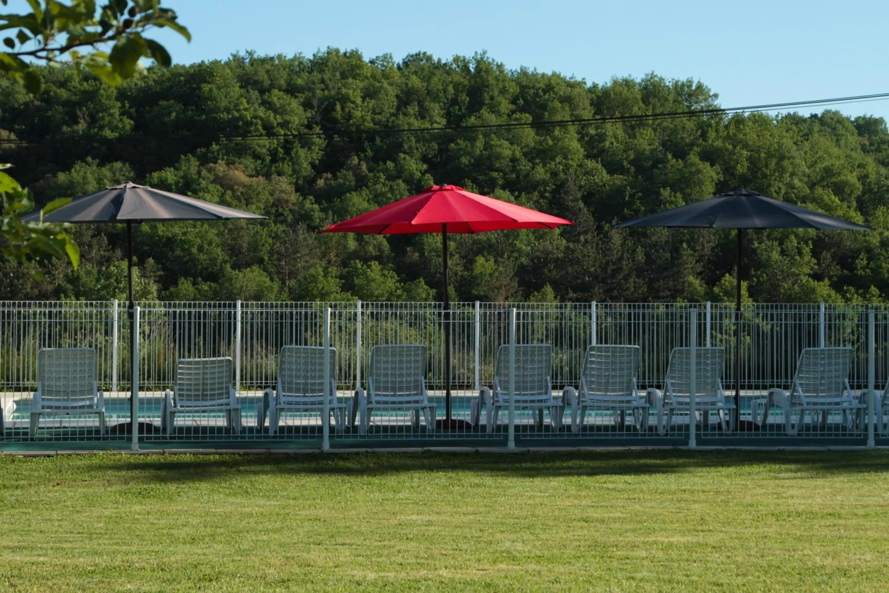 Swimming pool in Le Chevrefeuille chambres d'hotes et gîtes de charme