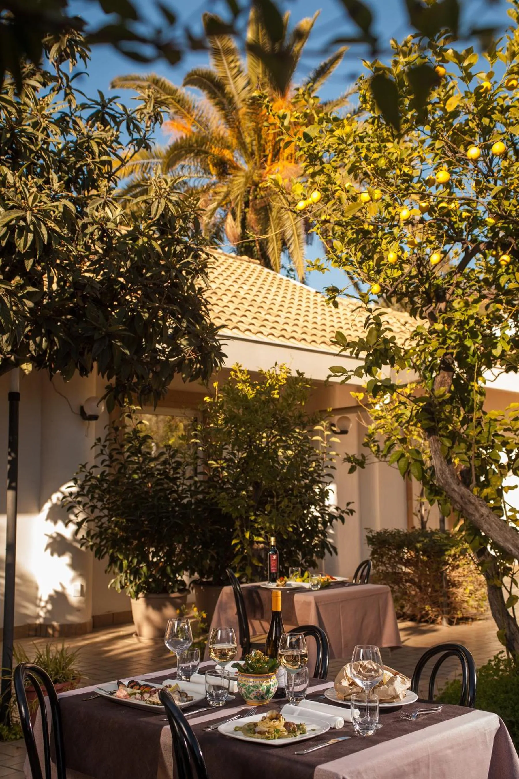 Restaurant/places to eat in L'Albero