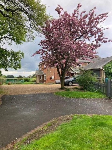 St Mary’s Lodge B and B