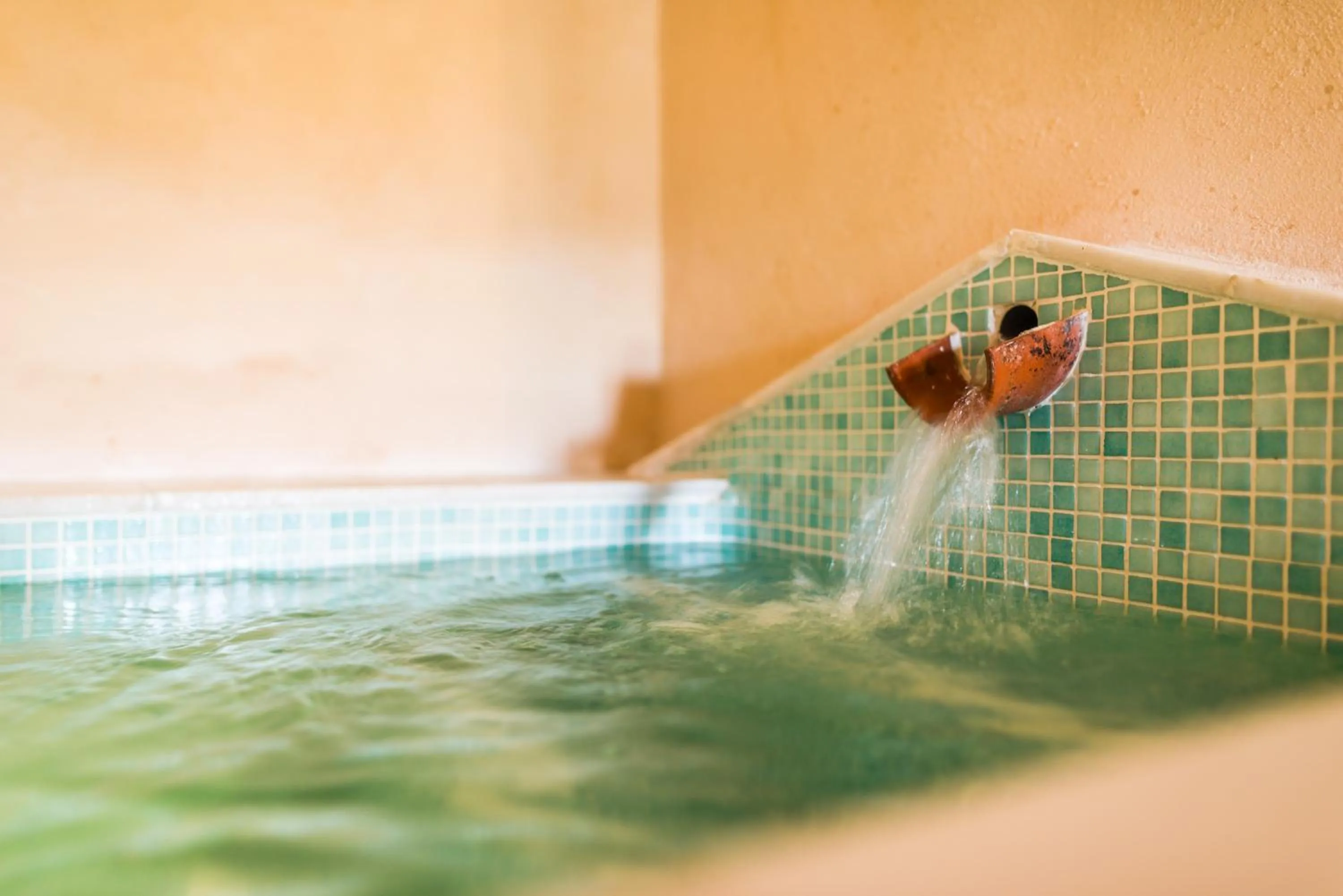 Hot Spring Bath in Balneario Aguas de Villaharta