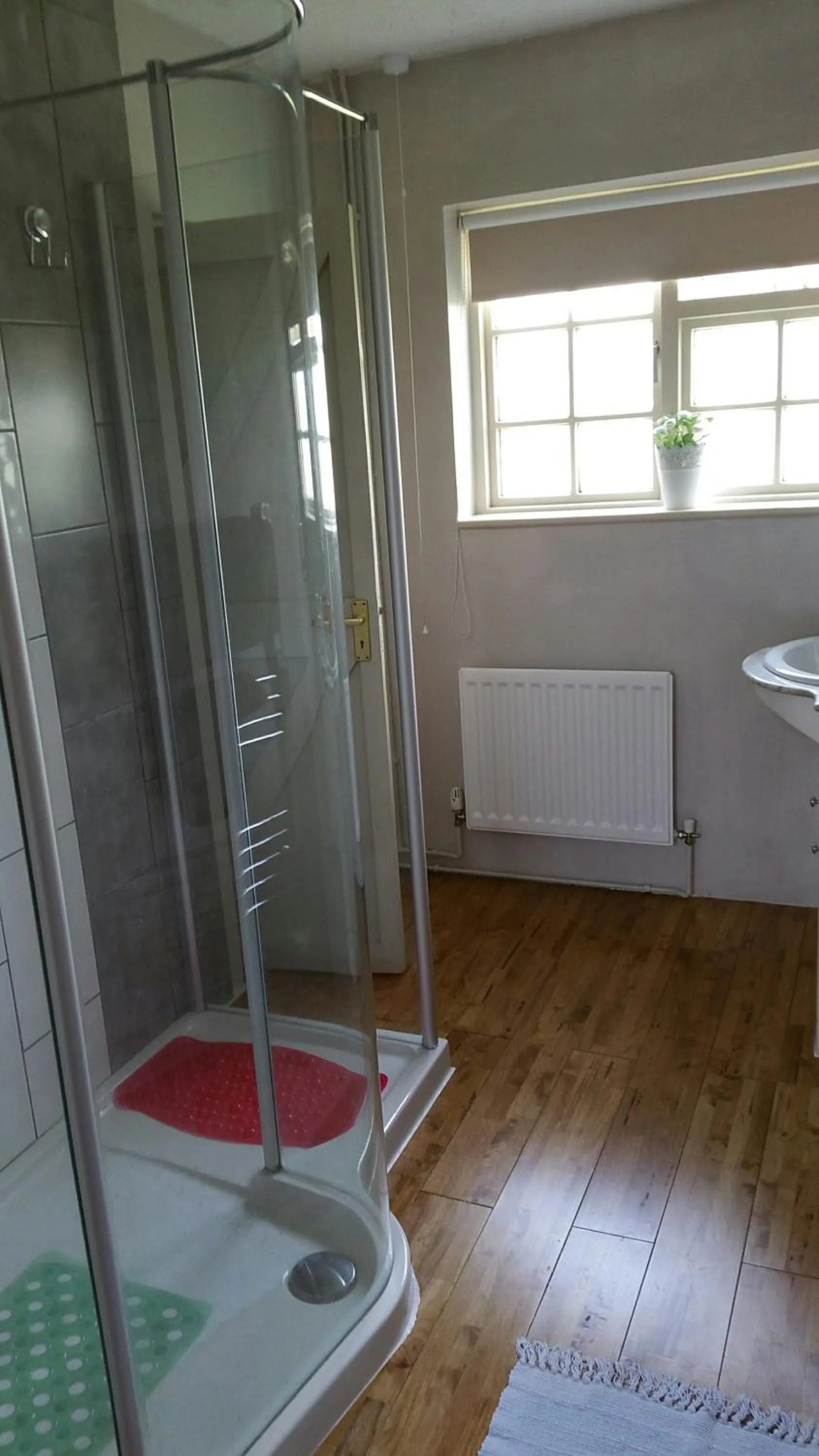 Other in Great Danes Licenced Guesthouse