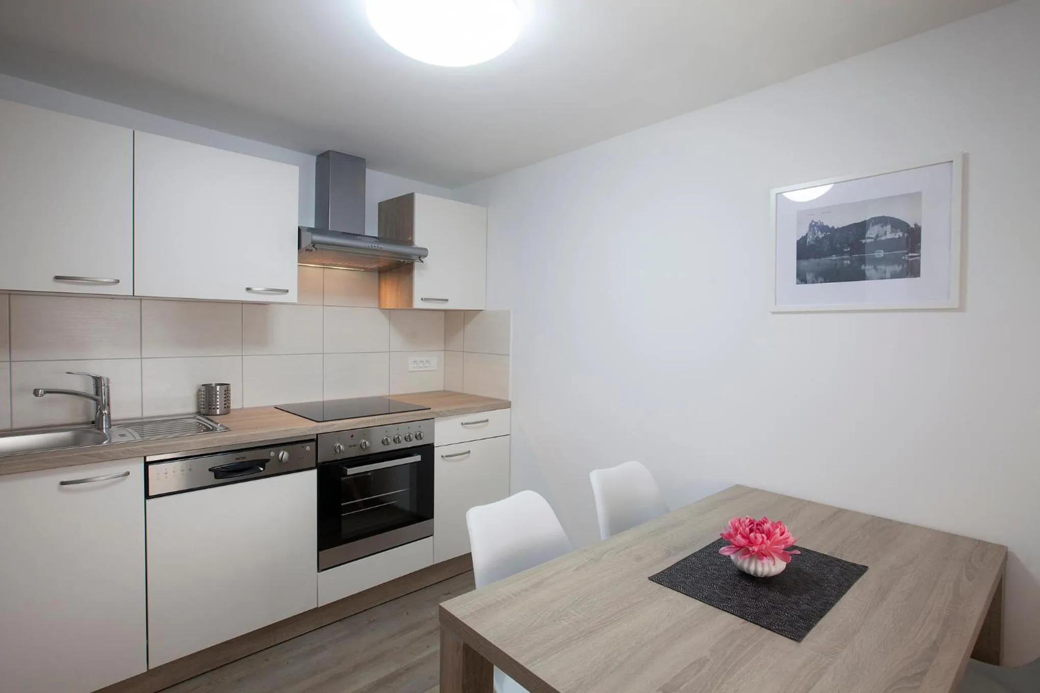 Kitchen or kitchenette in 1861 Blejka apartments Bled
