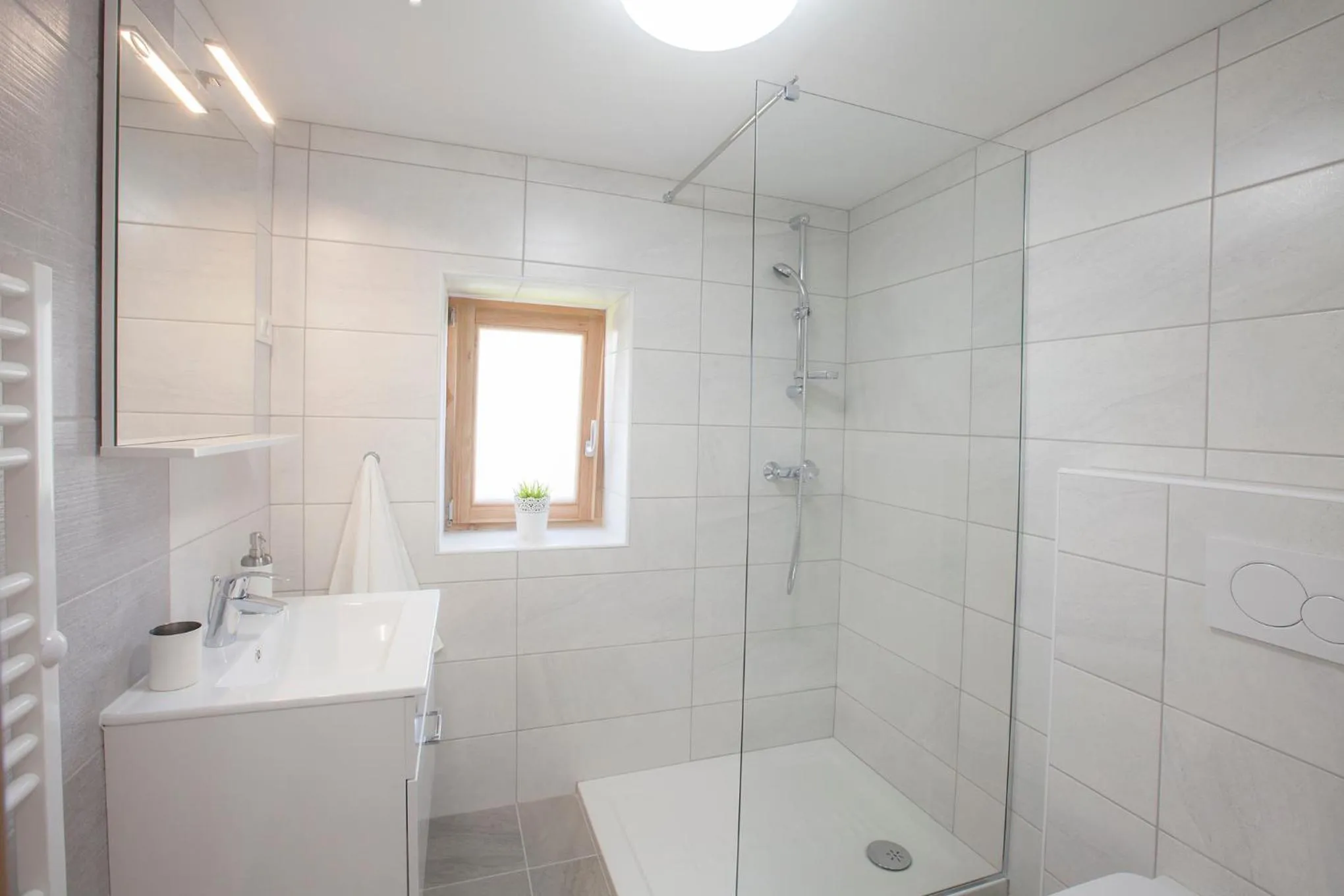 Bathroom in 1861 Blejka apartments Bled