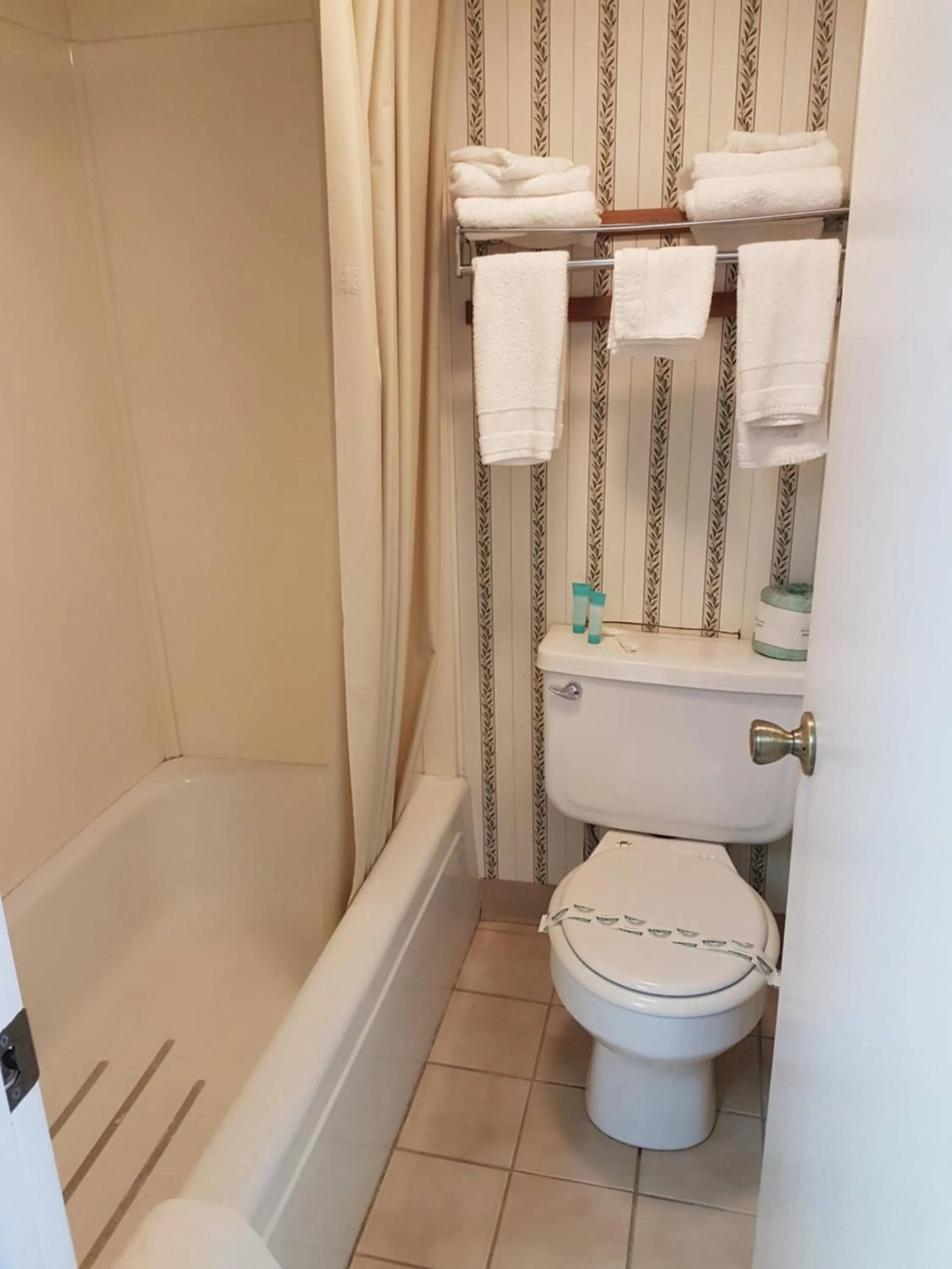 Toilet in Swiss Village Inn