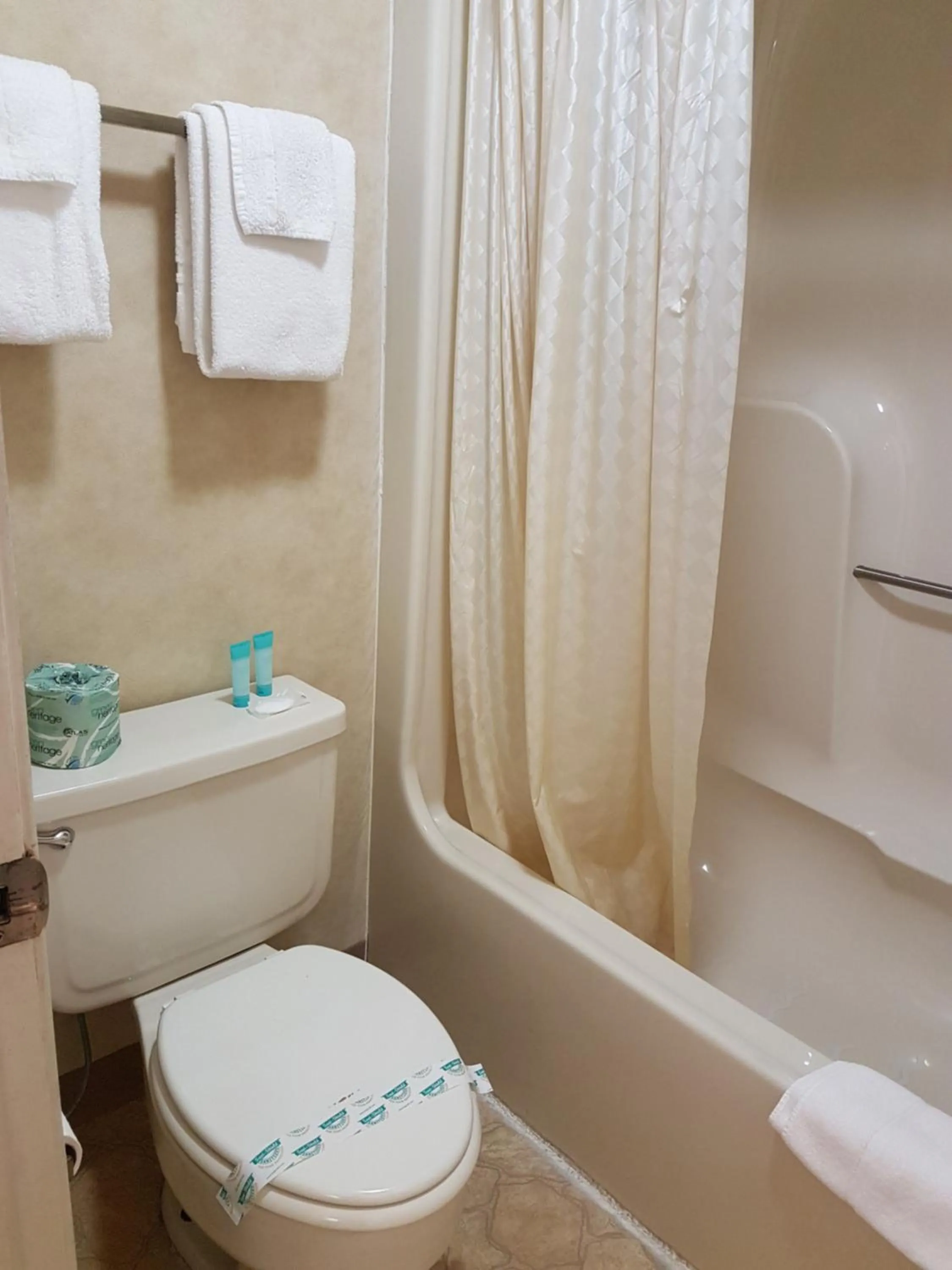 Toilet in Swiss Village Inn