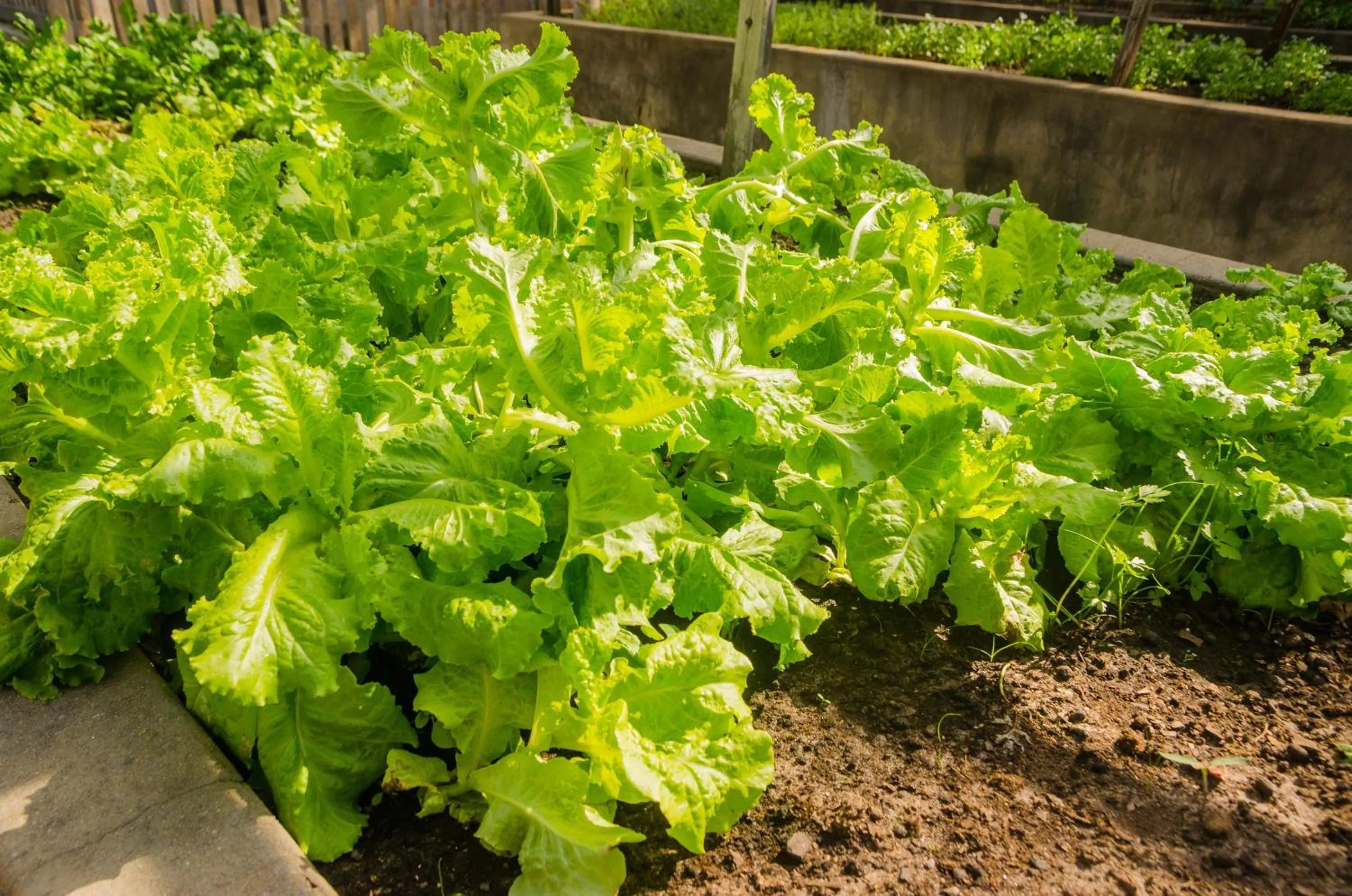 Porto Preguiças Resort