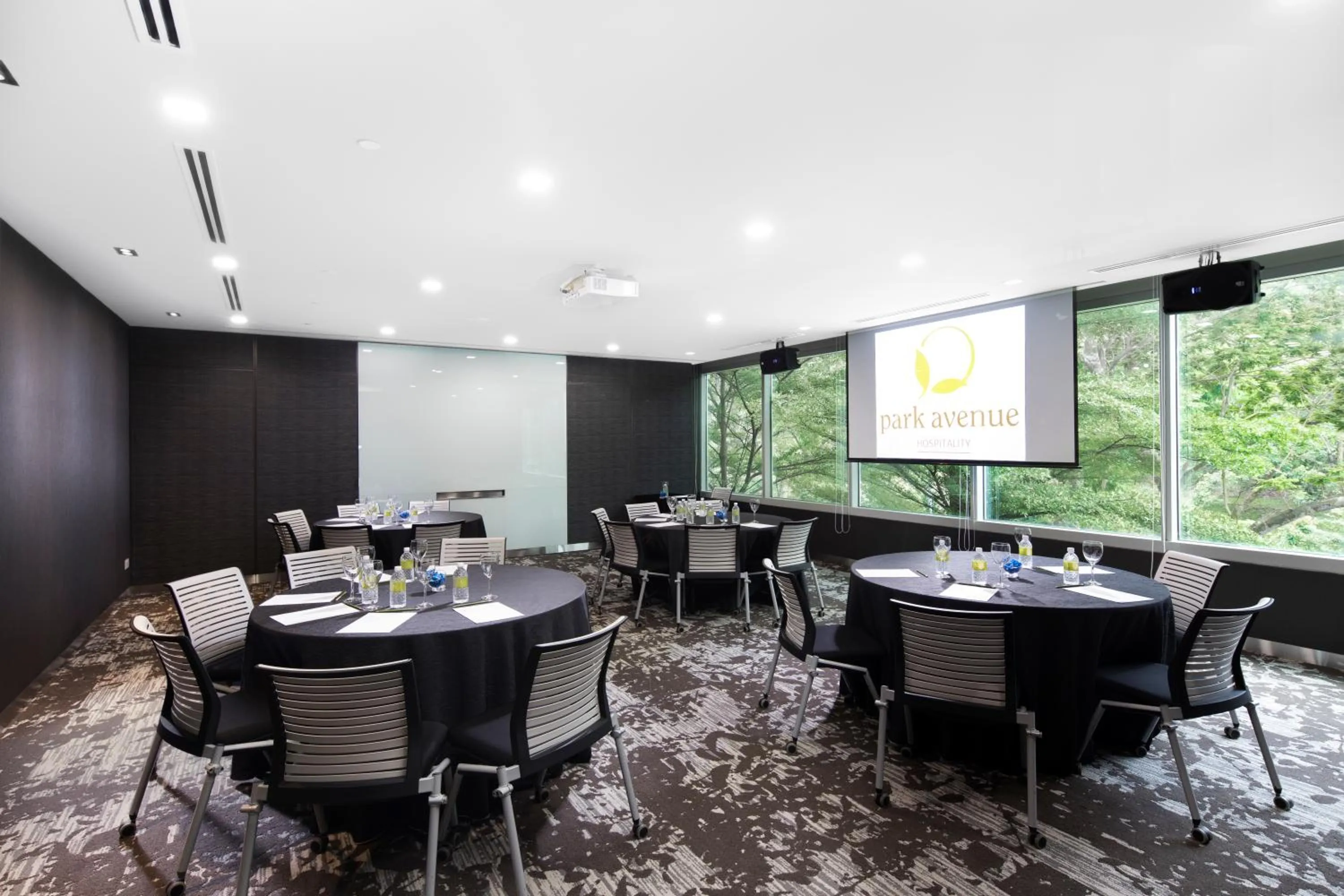 Park Avenue Rochester