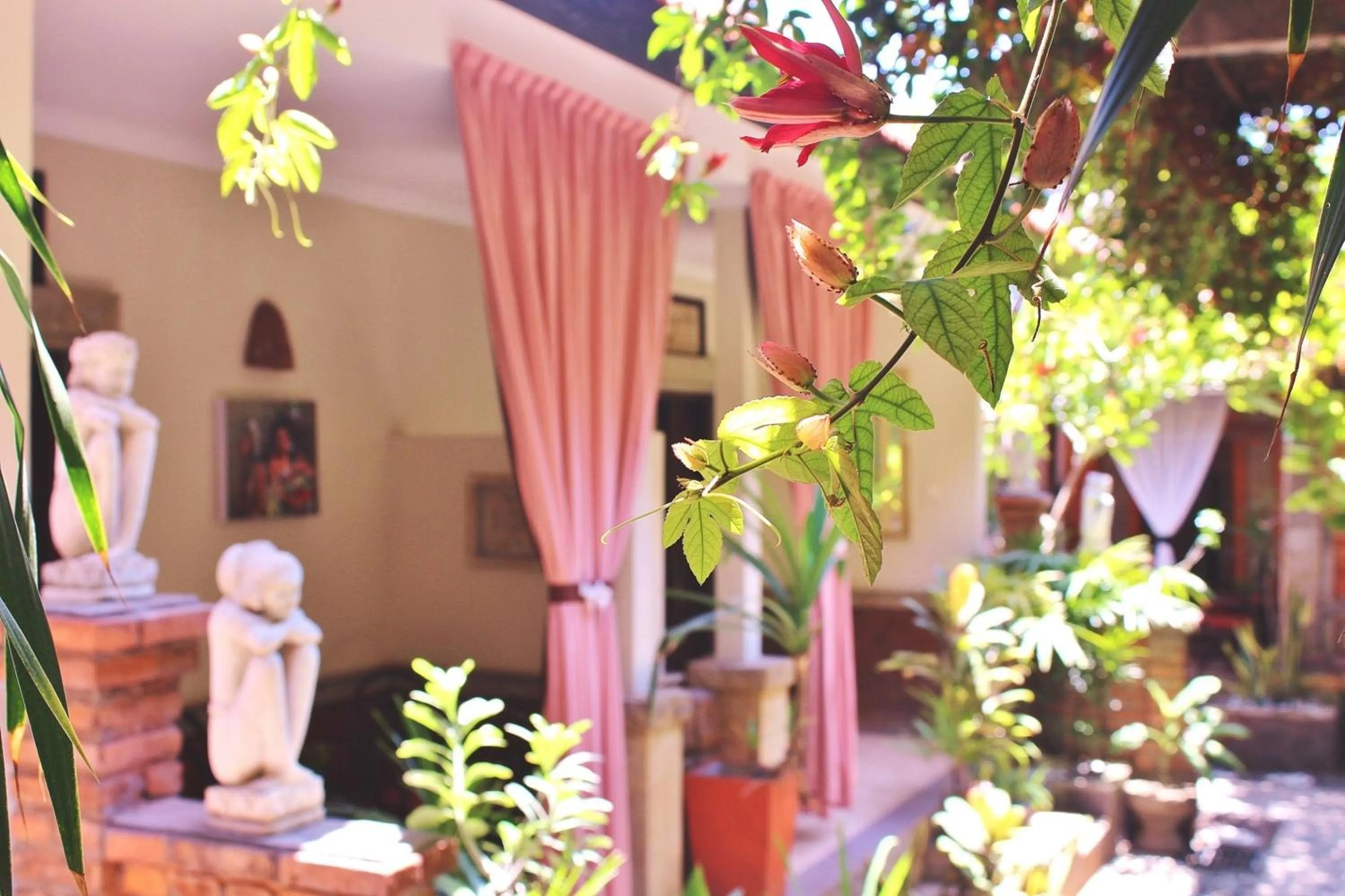 View (from property/room) in Hotel Sanur Indah