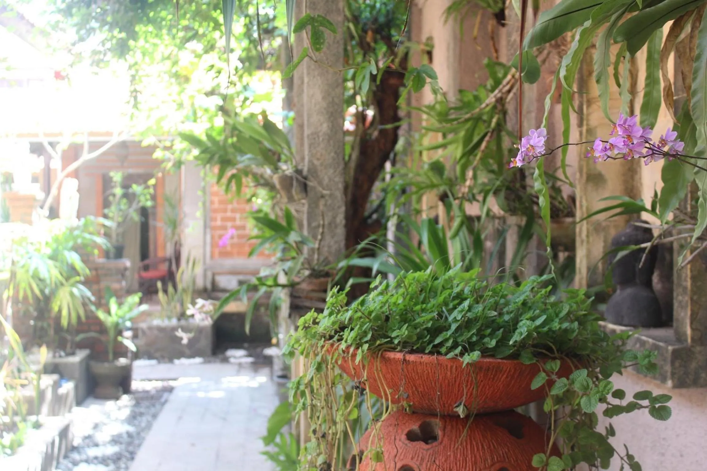 Garden in Hotel Sanur Indah