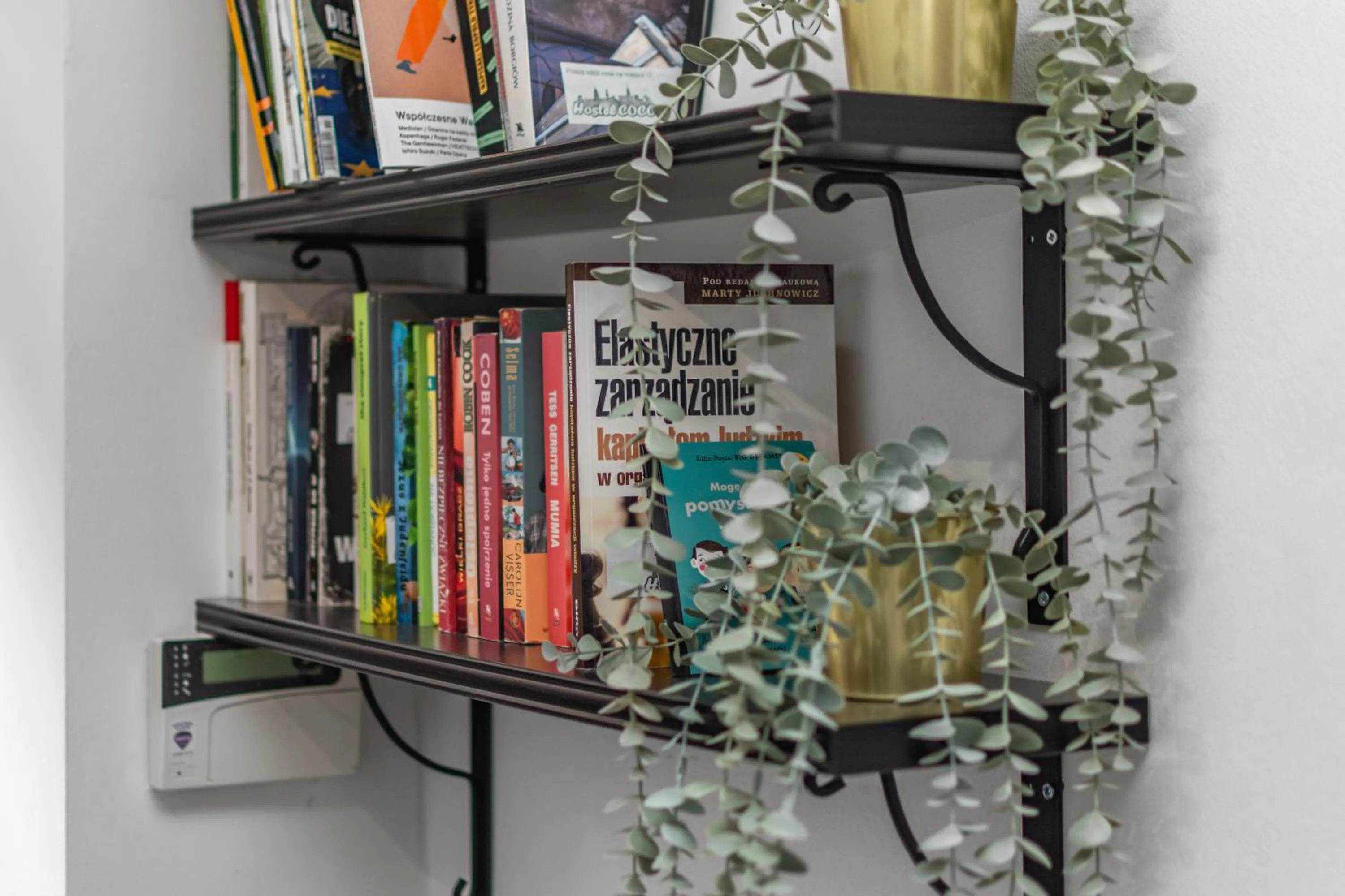 Library in Hostel Coco