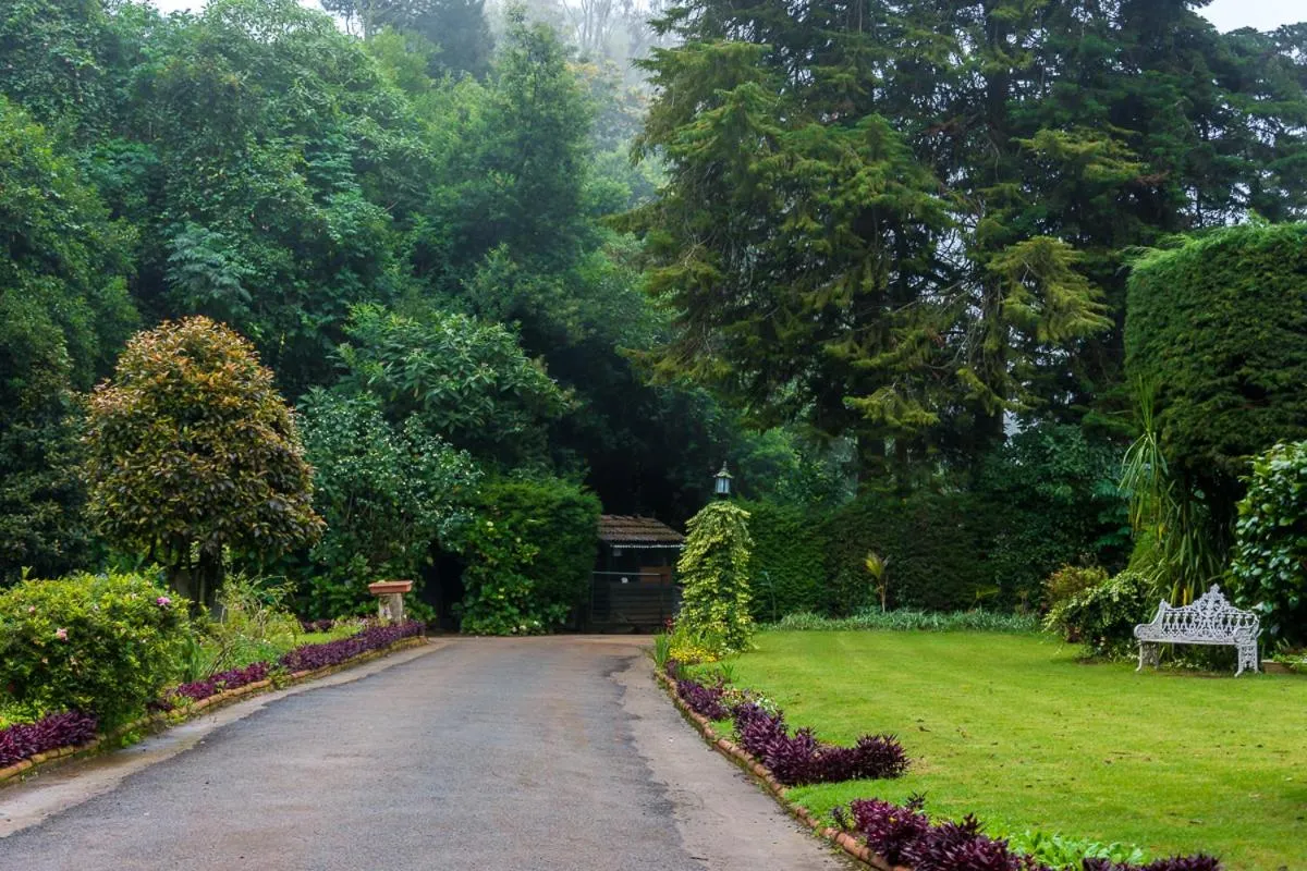 Garden in King's Cliff