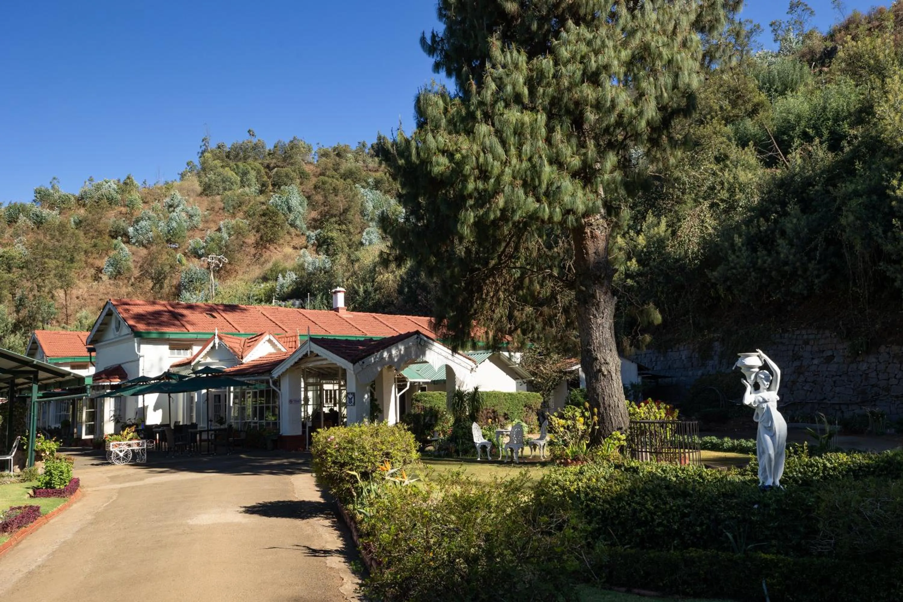 Natural landscape in King's Cliff