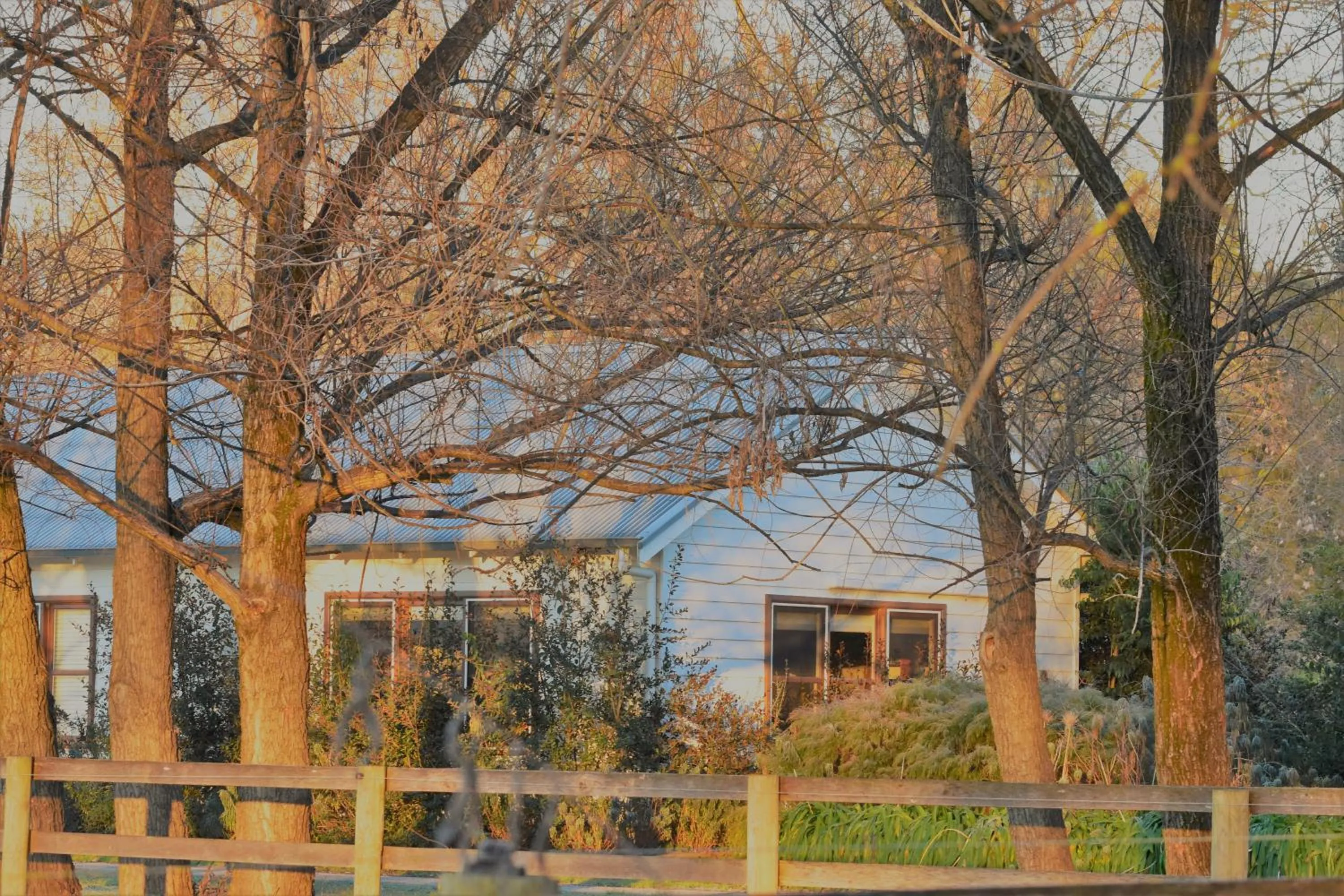 Property building in King River Cottage