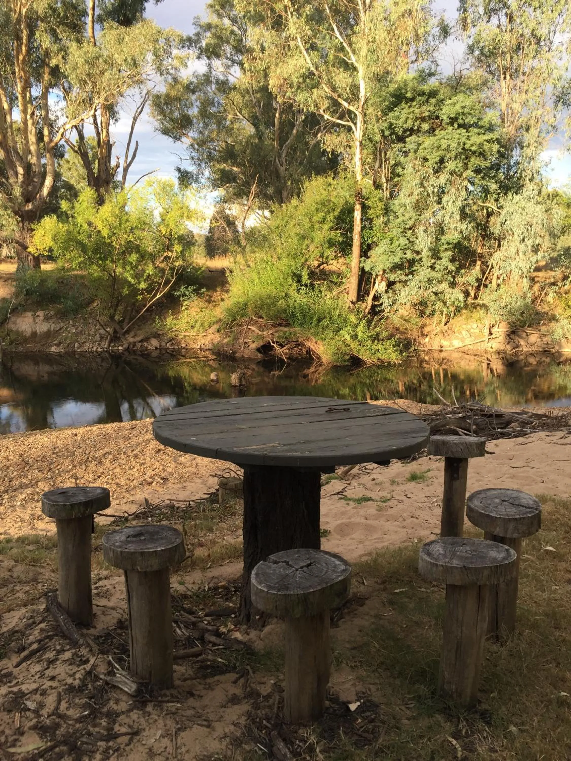 River view in King River Cottage