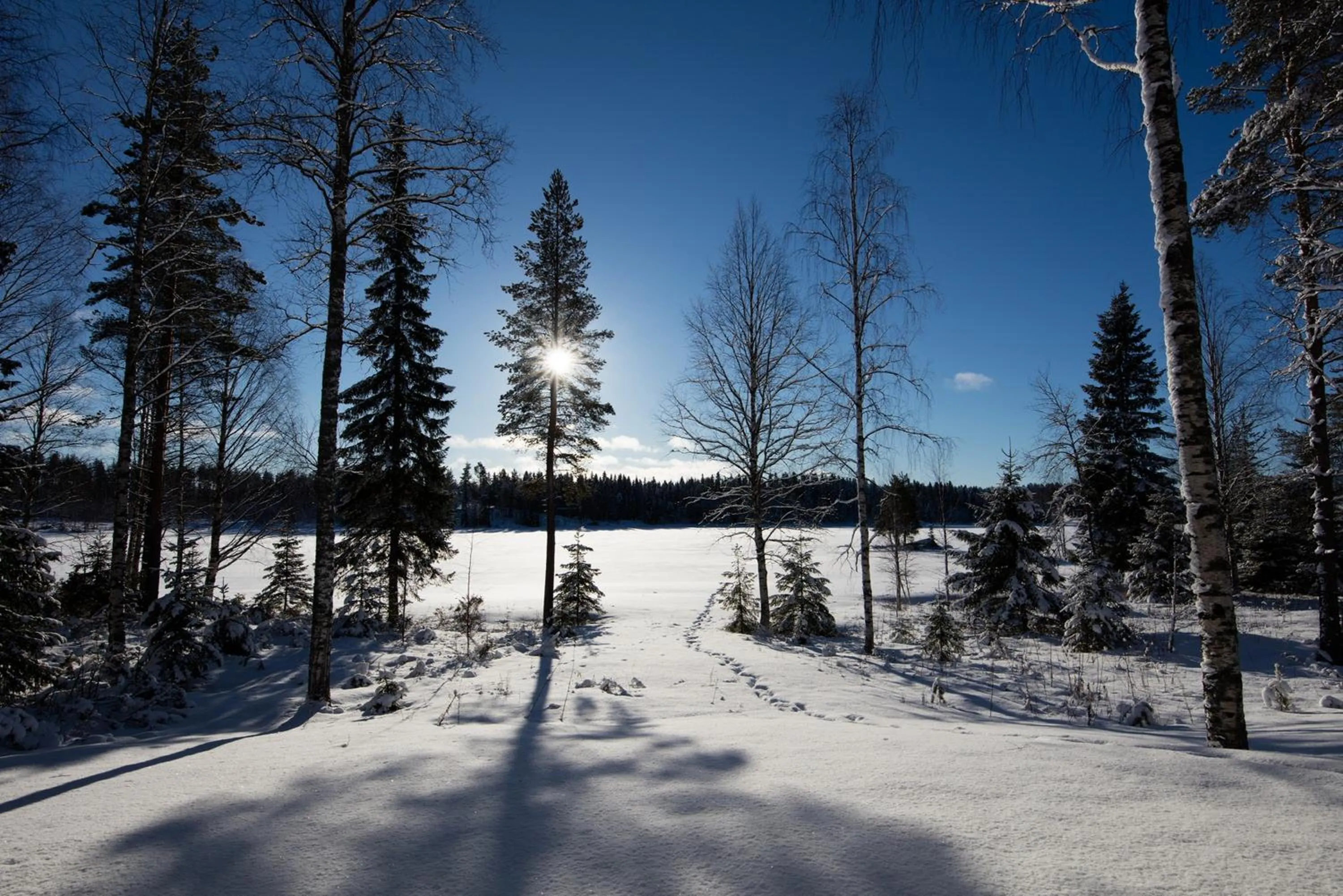 Natural landscape in Kajaani Cottages