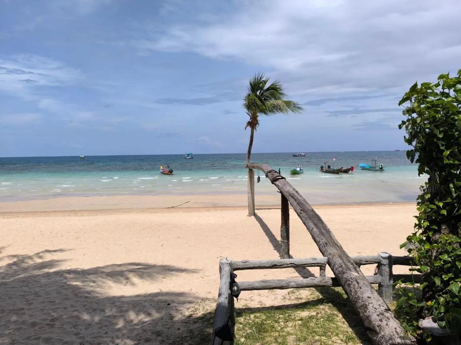 Natural landscape in Lotus Paradise Resort - SHA PLUS