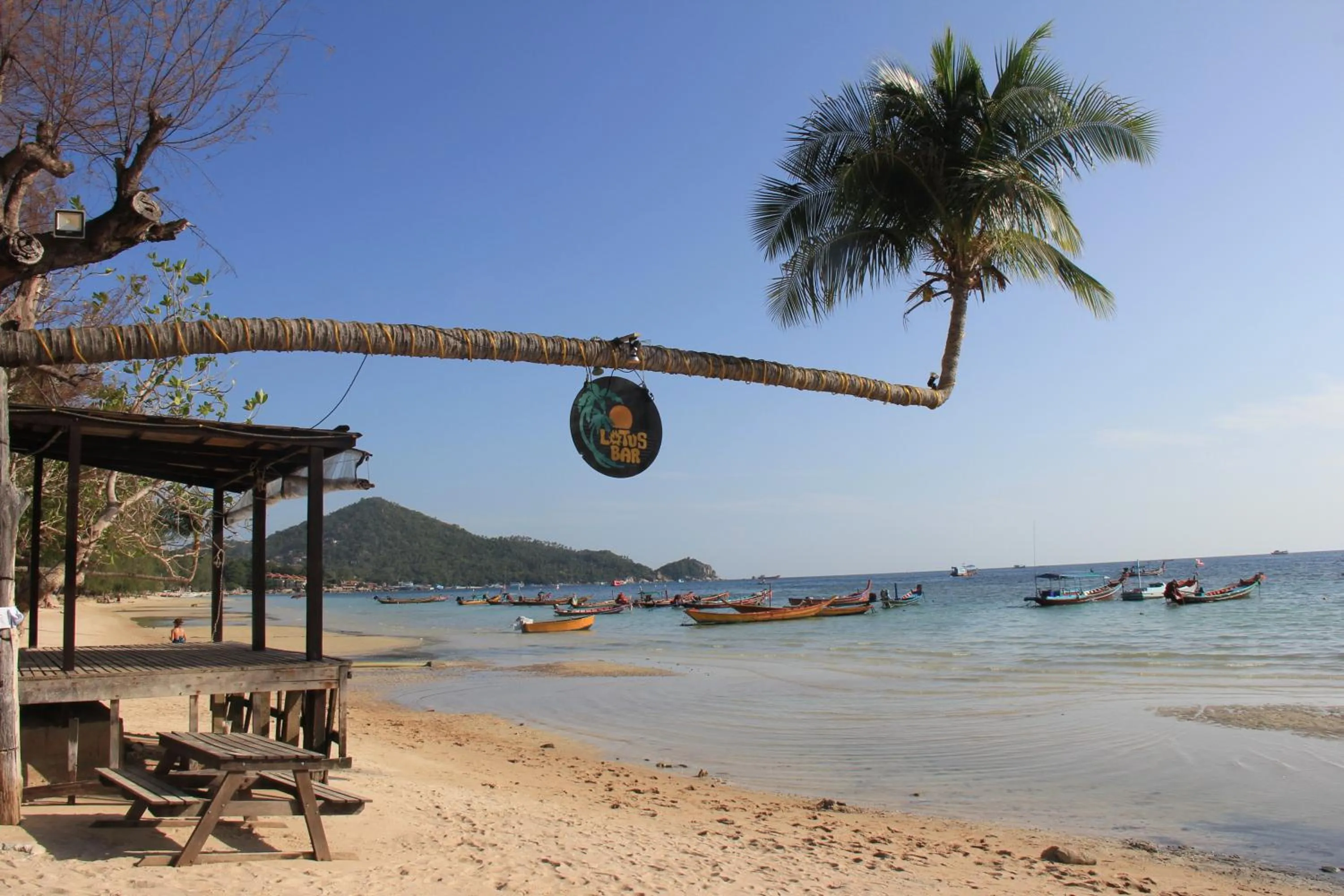 Day in Lotus Paradise Resort - SHA PLUS