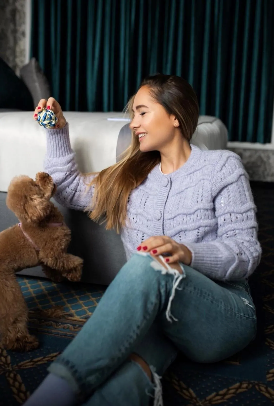 Pets in Mystery Hotel Budapest, Preferred Hotels & Resorts