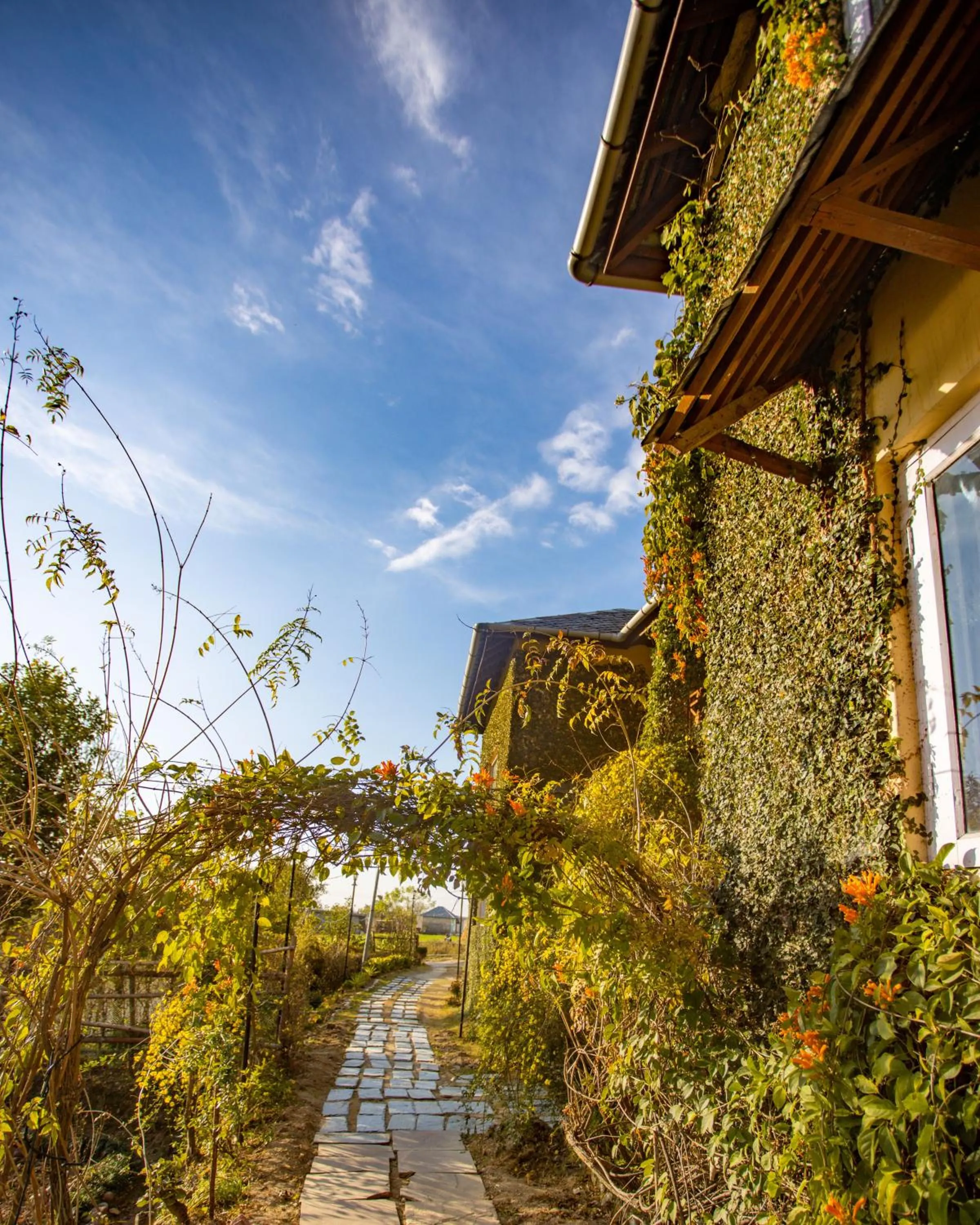 Property building in Seclude Palampur