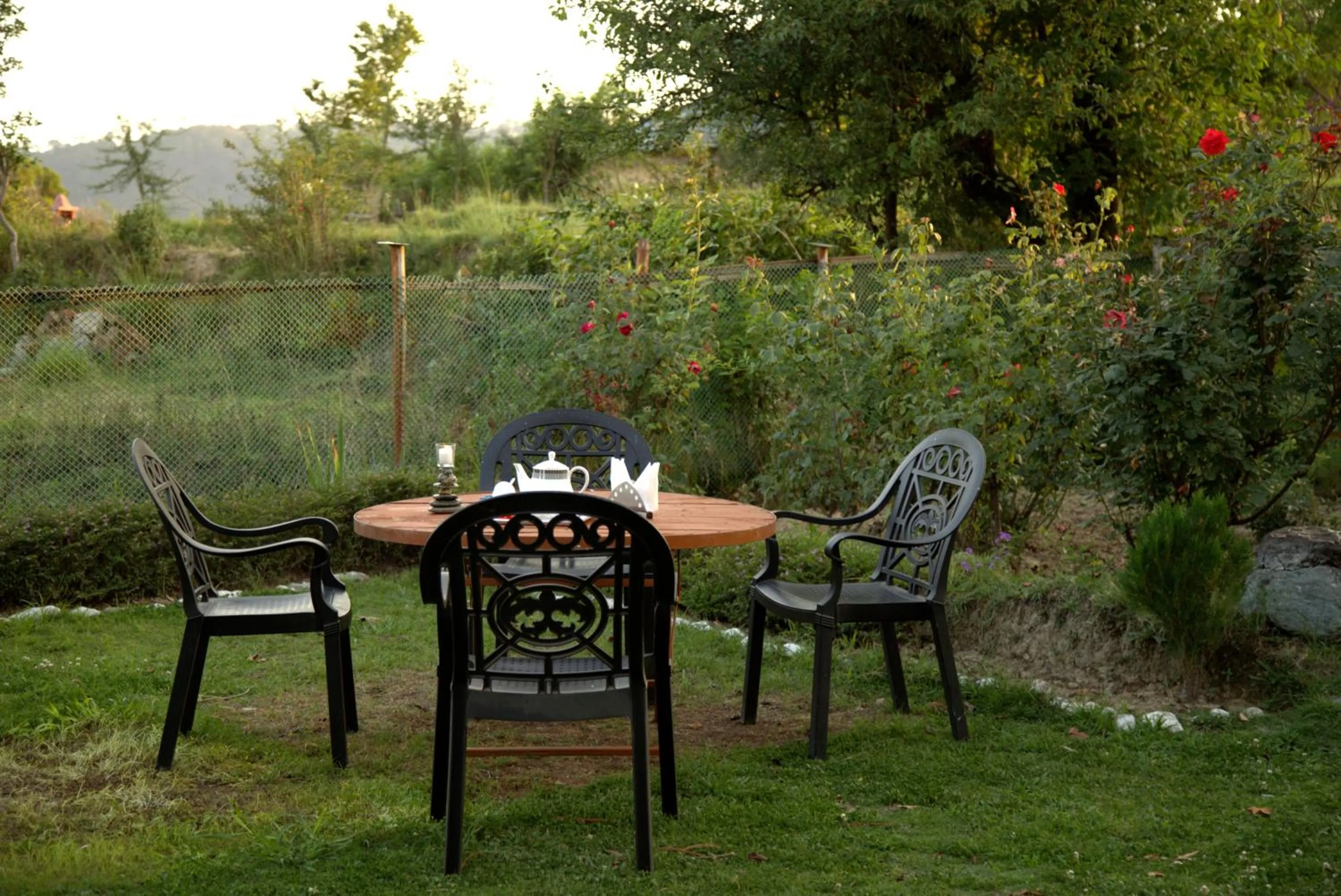 Day in Seclude Palampur