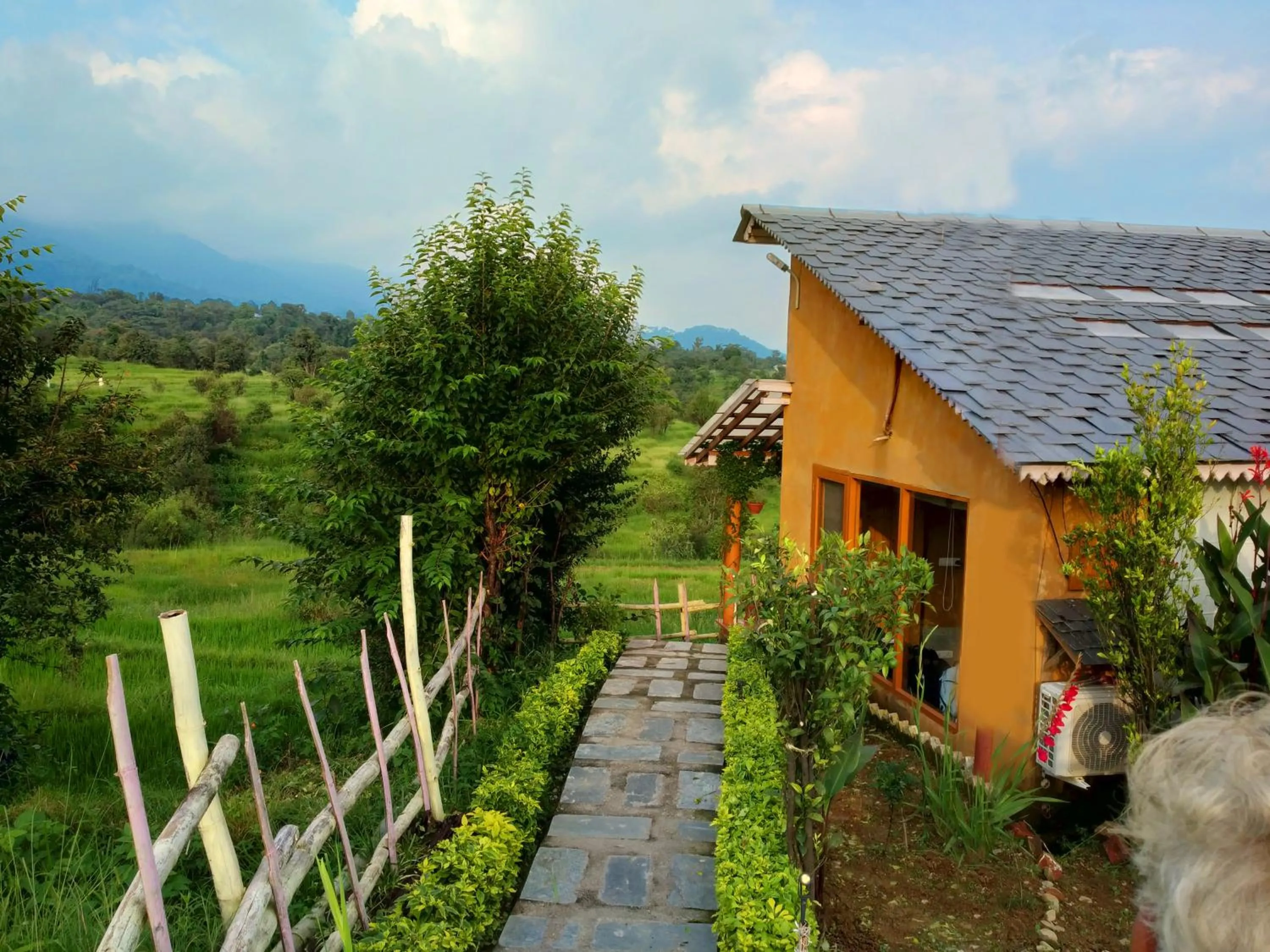 Property building in Seclude Palampur